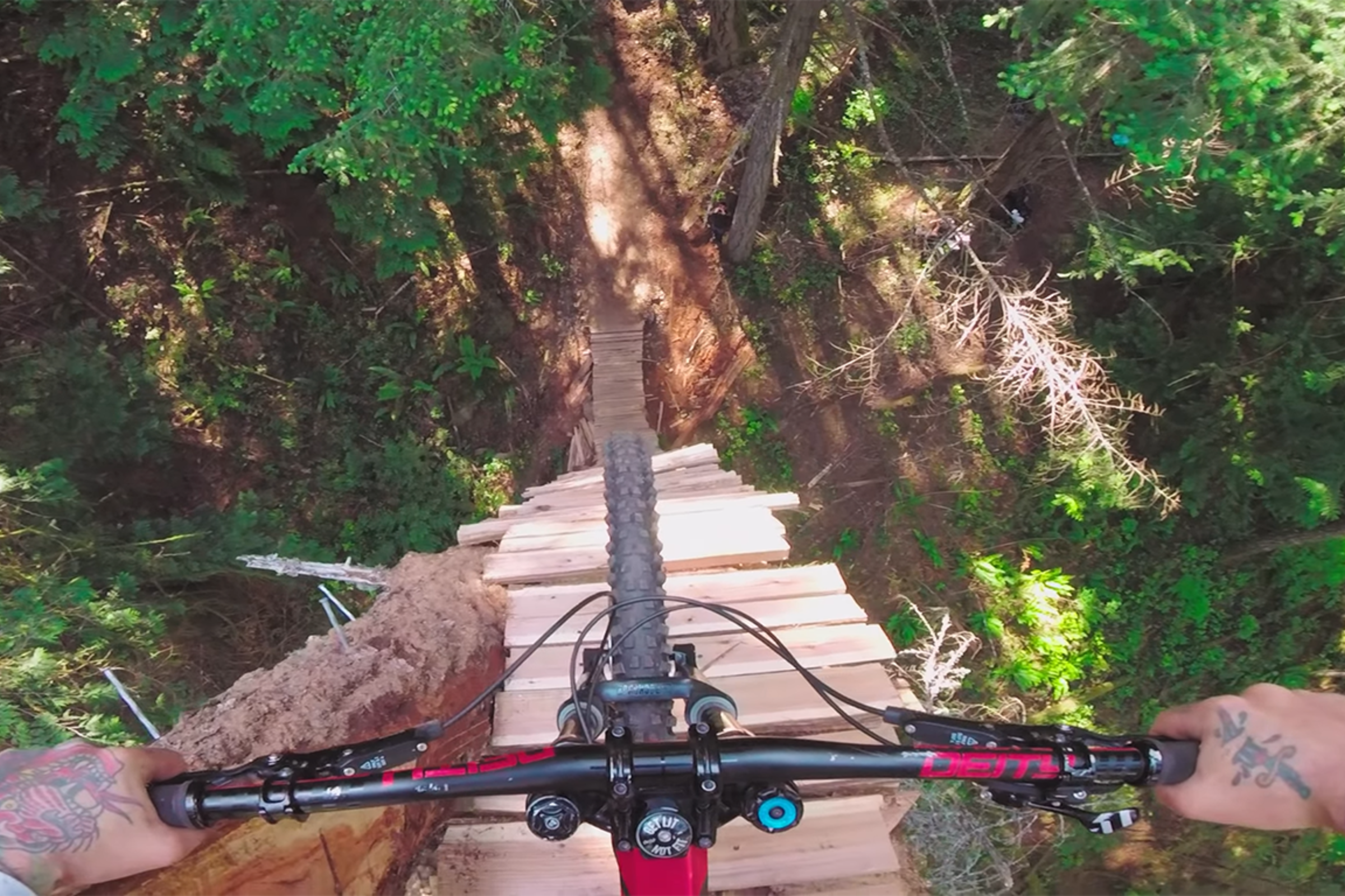 Watch: Mountain Biker Risks Life And Limb To Drop From Tree Limbs