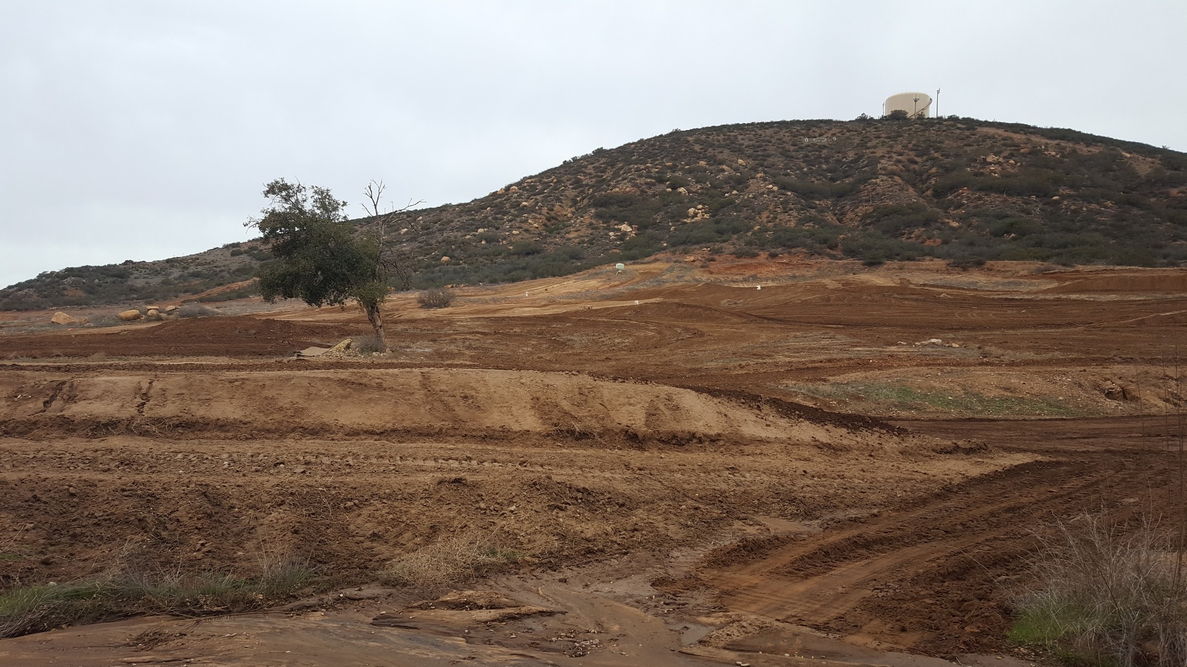 20190105_090427_resized