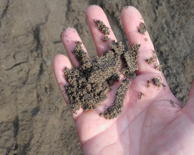 This is what the sand looks like close up.