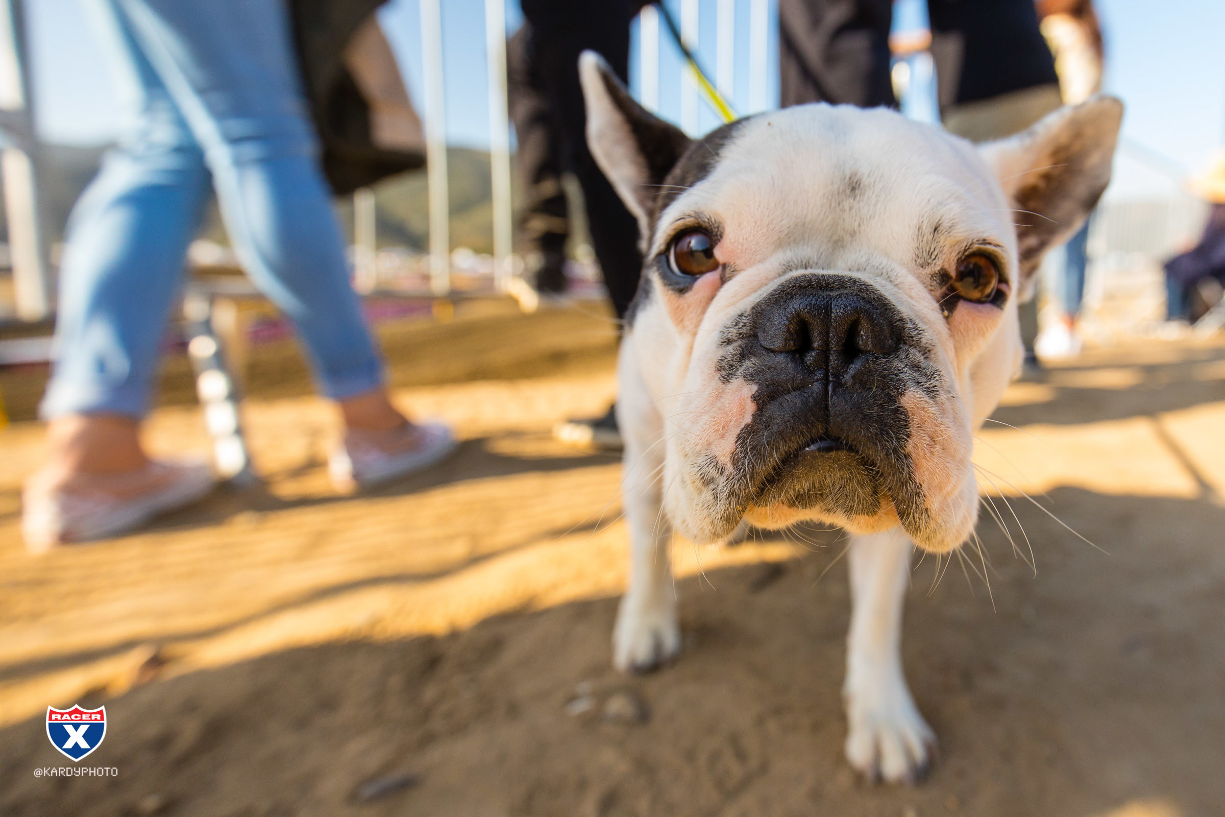 Pits_JK_MX19_Pala_2775