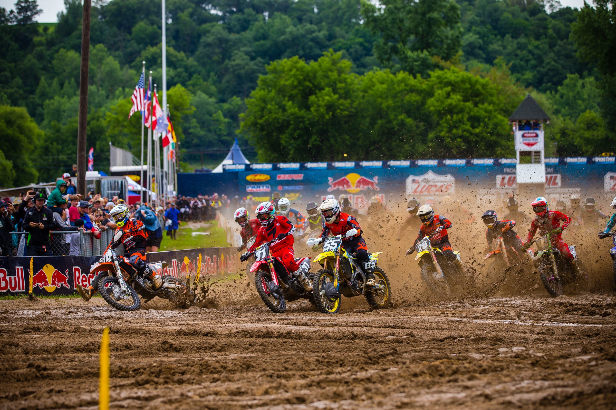 Spring Creek Highlights