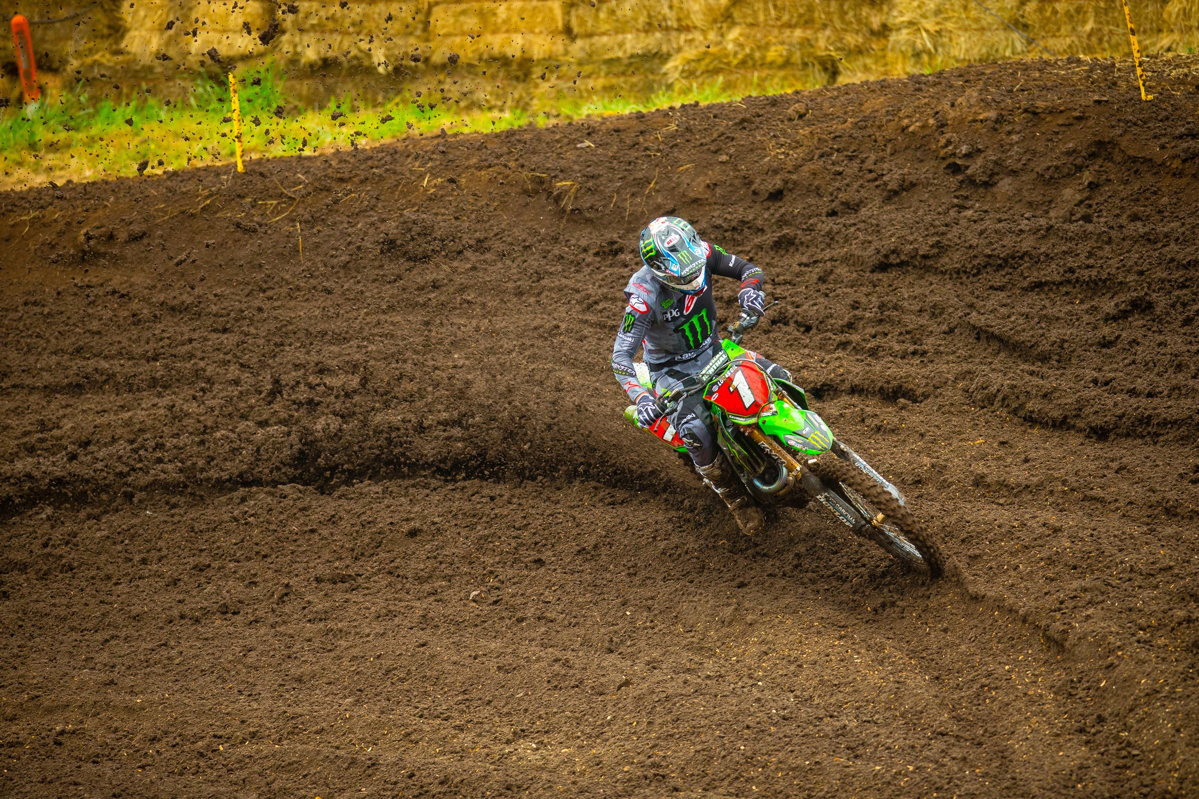 450 Words: Limited Edition