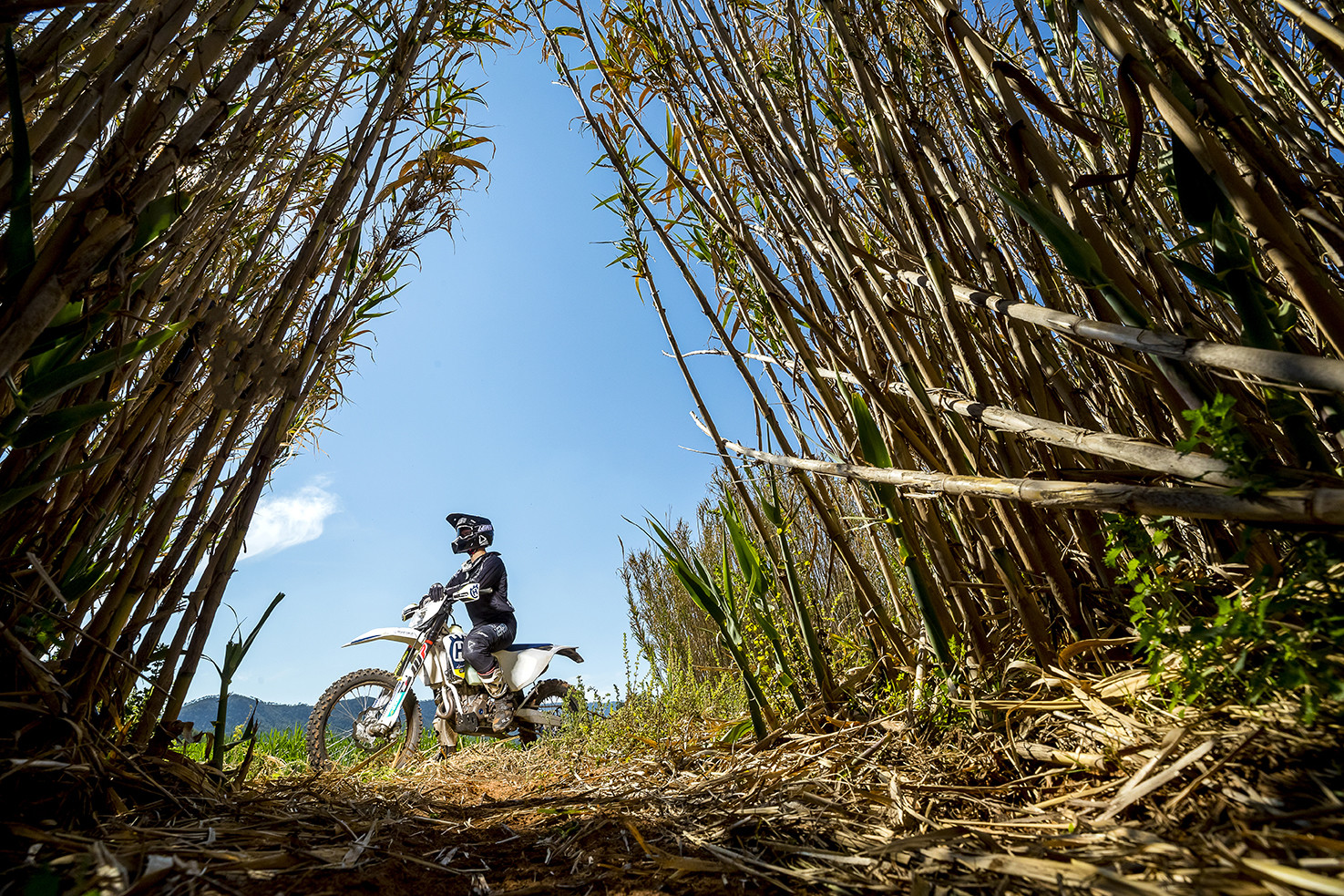 Leatt_2020_0486__P5I5057