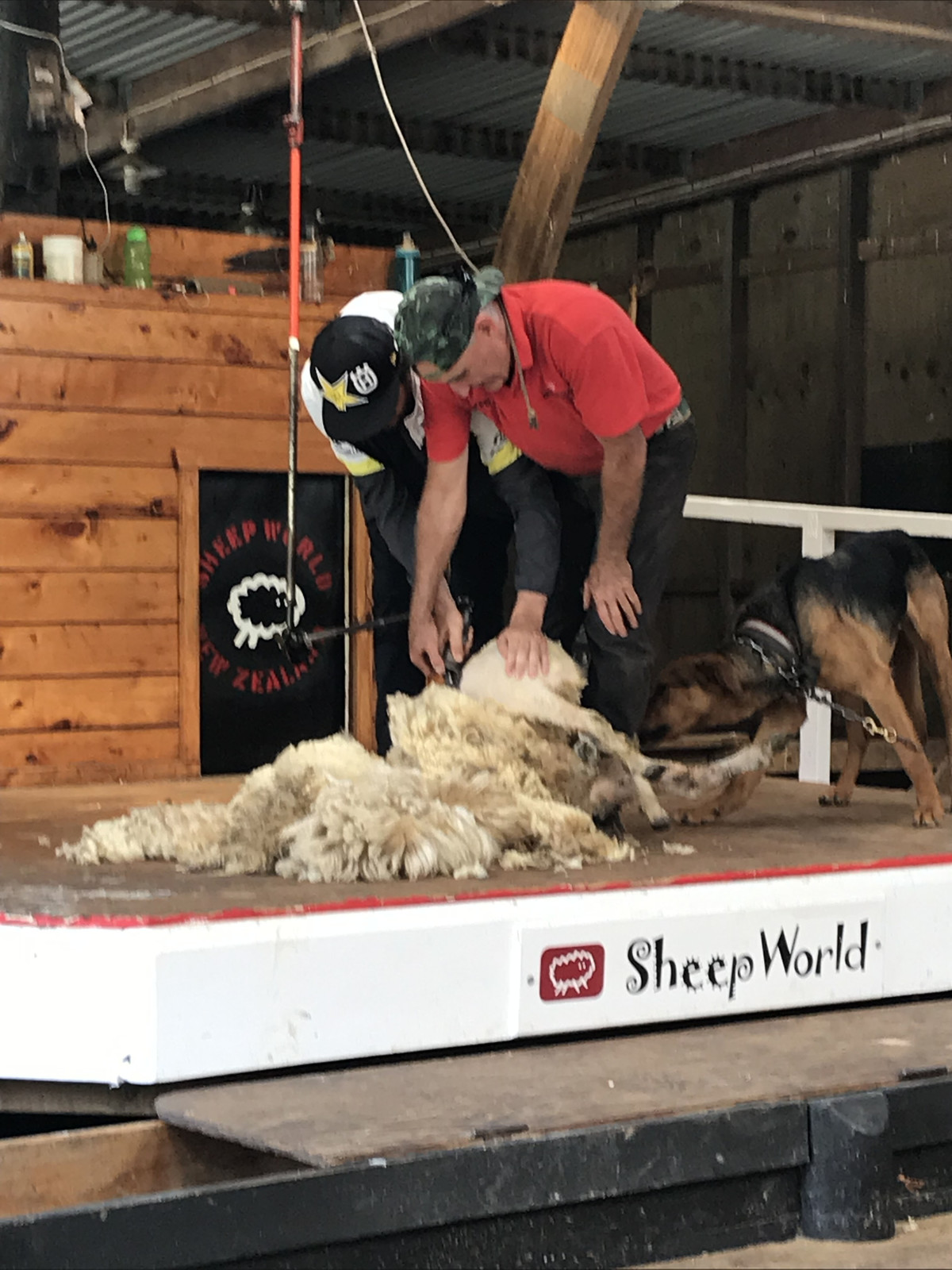 Jason Anderson: sheep sheering expert by day, supercross champion by night.