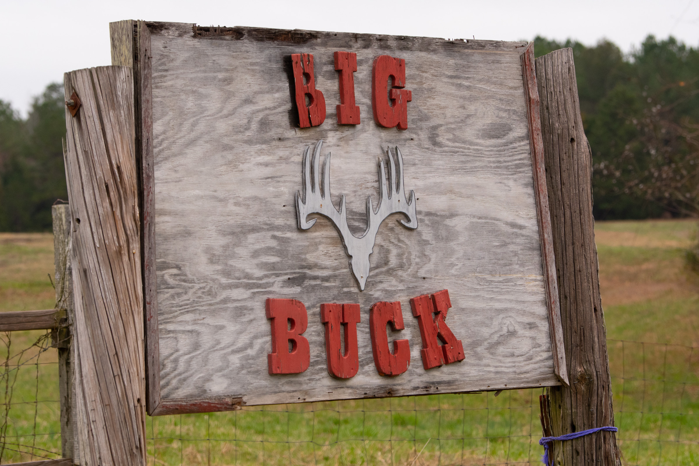 Big Buck Farm in Union, South Carolina, the site of the Big Buck GNCC. Quads will compete on Saturday, followed by the bikes on Sunday as the 46th season of GNCC racing gets underway!
