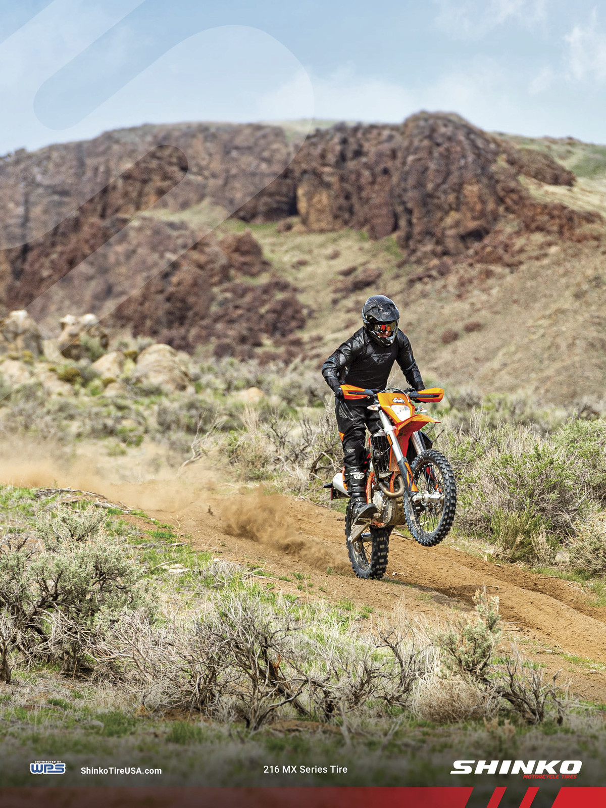 Advertisement: Shinko