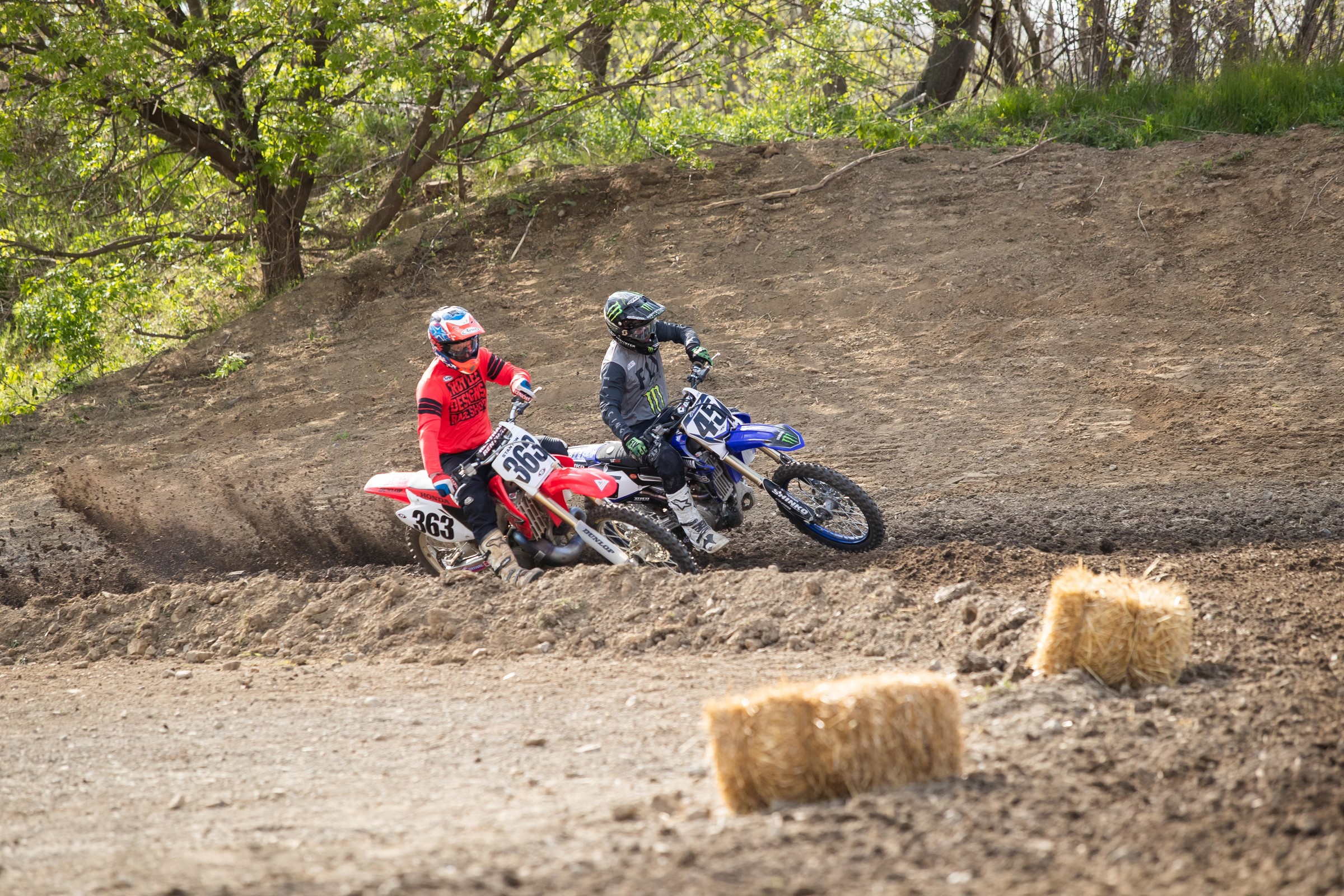 Stanton and Bradshaw.