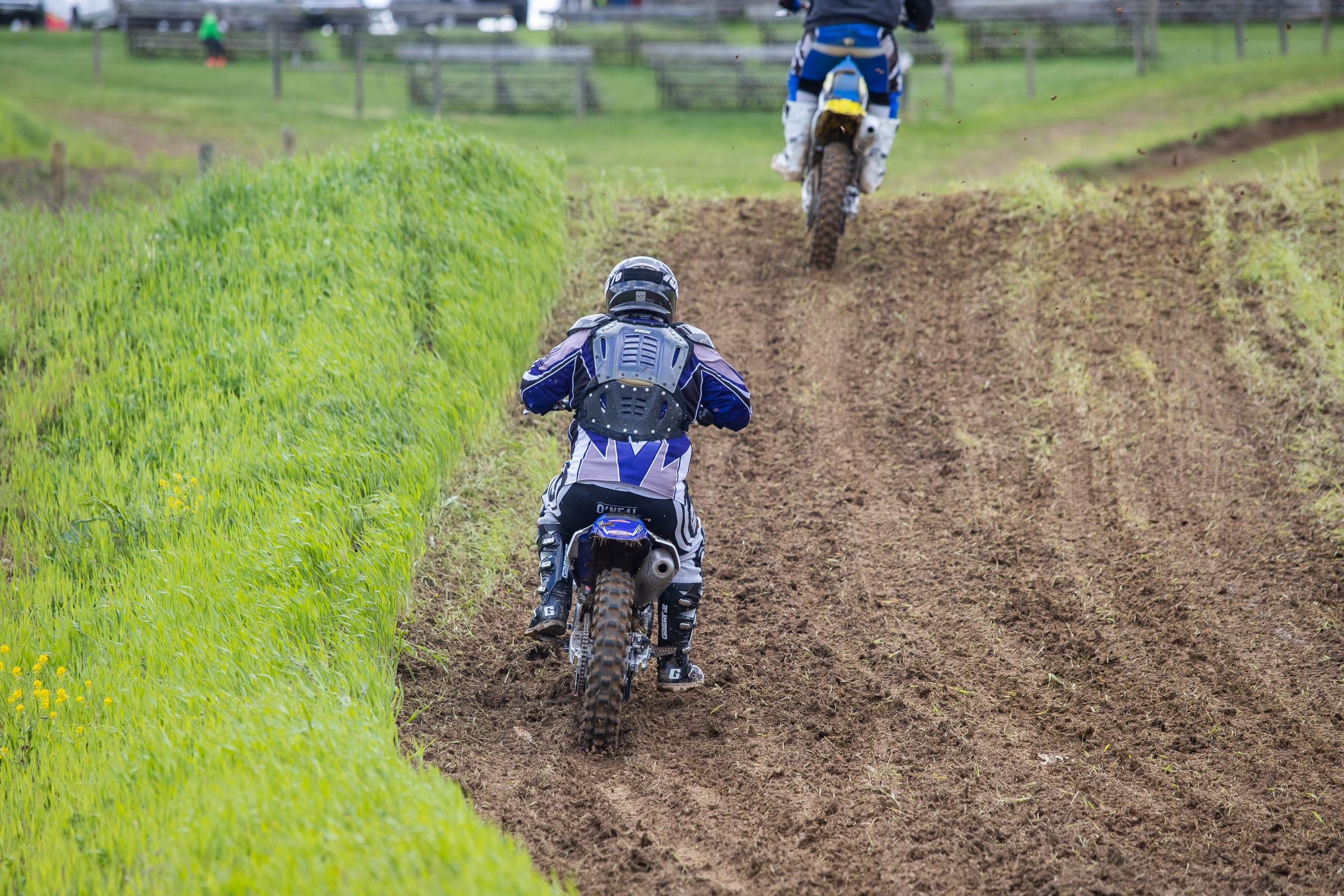 Once the grass was mostly ripped up.