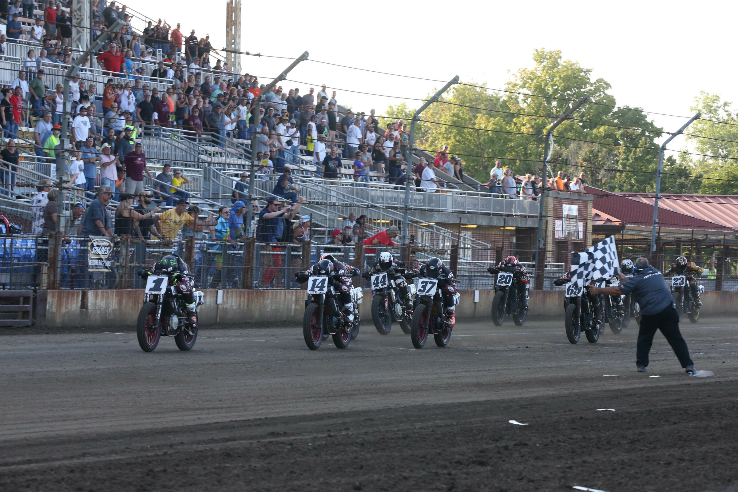 Mees, Briar Bauman, and Bronson Bauman (#37)