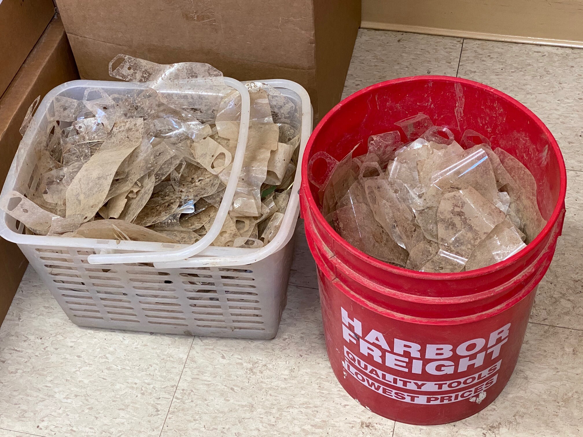 Meanwhile, work continues on the world’s largest collection of used tear-offs...