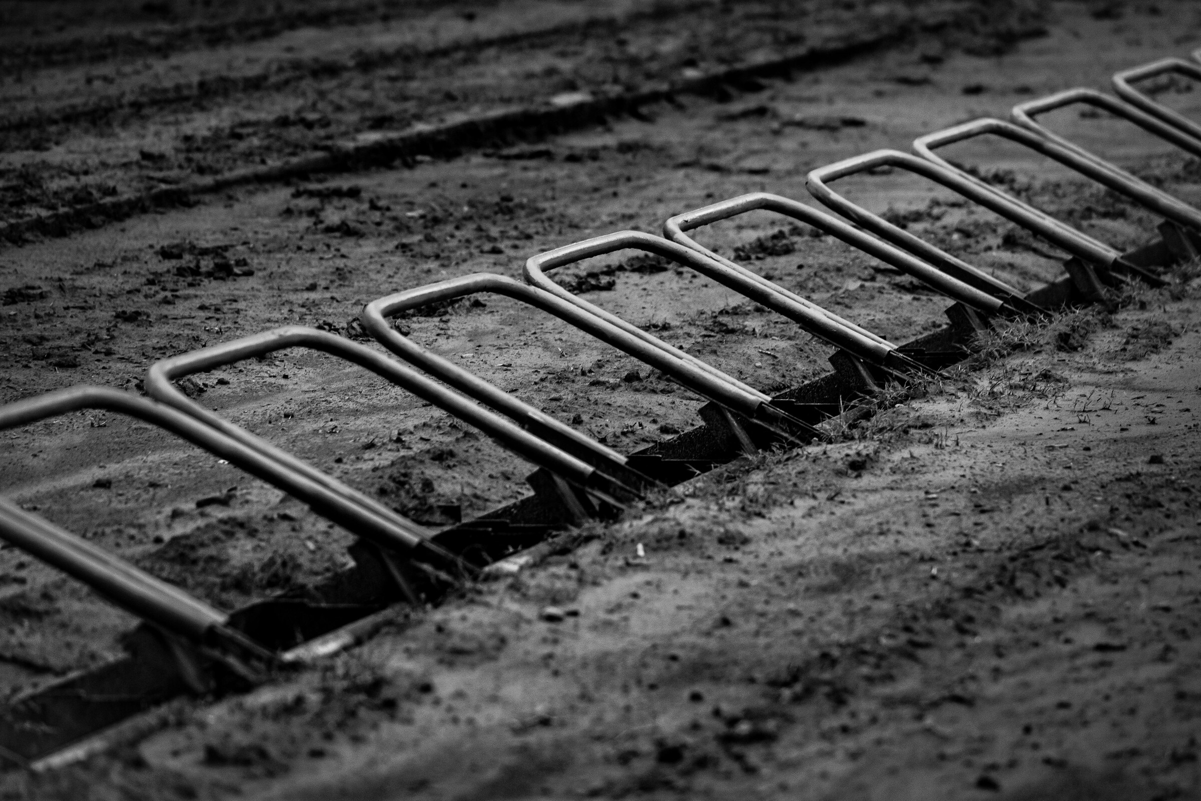 The gates await to drop for the second round.