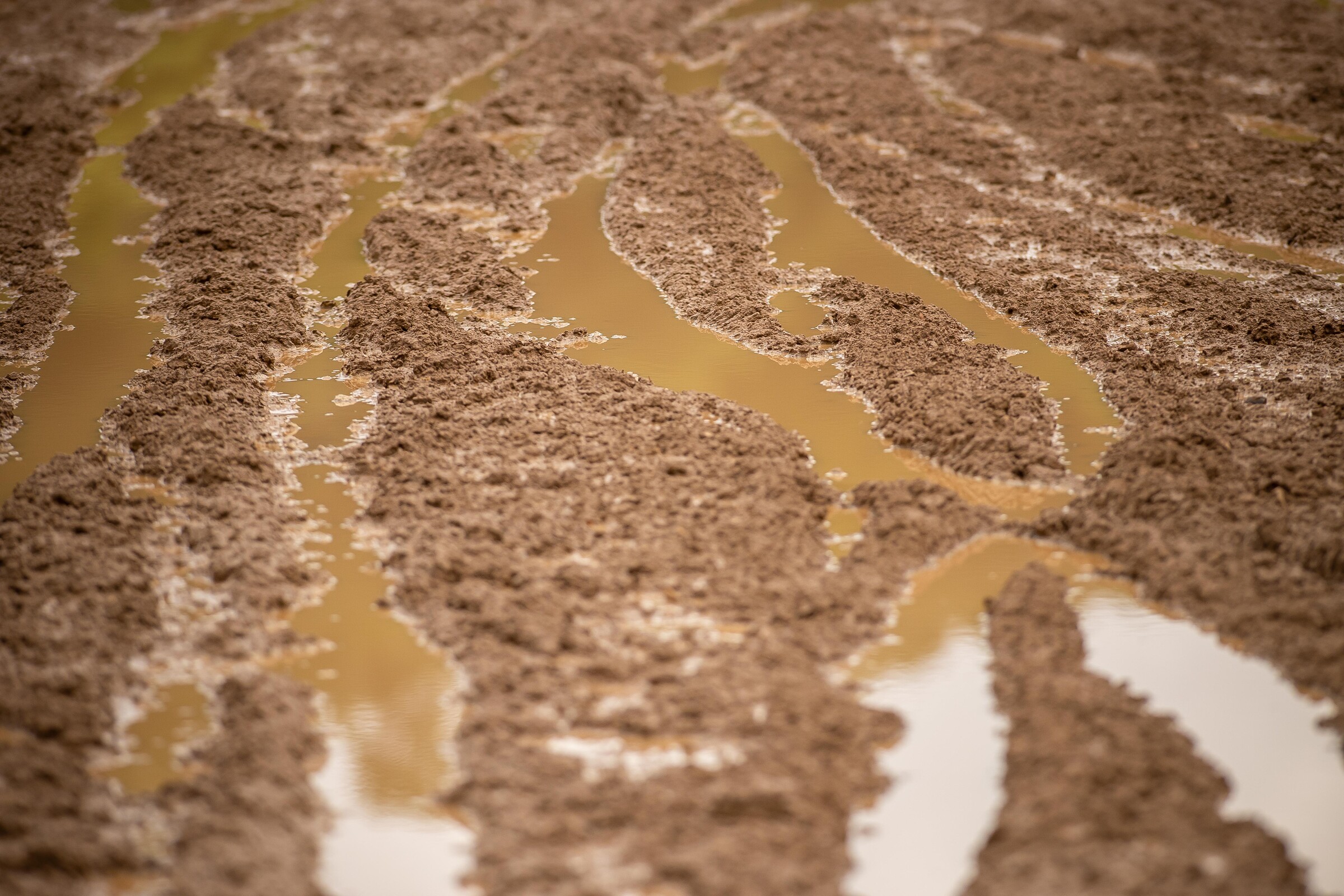 Standing water on the track caused for vision problems throughout the racing at the second round.