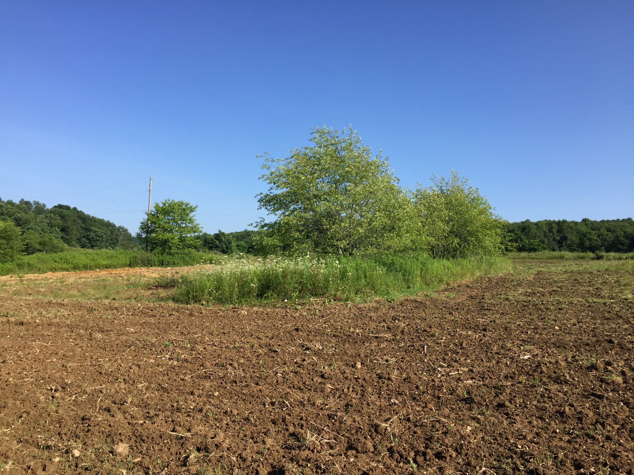 Mid-Ohio starting gate pad.