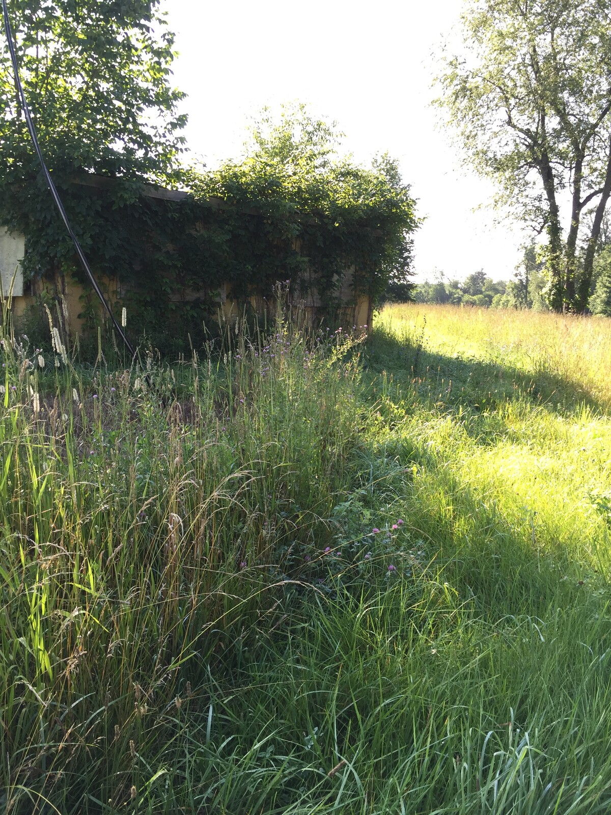 Mid-Ohio concessions
