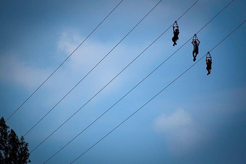 The Big Zip will be open for $50 per person.