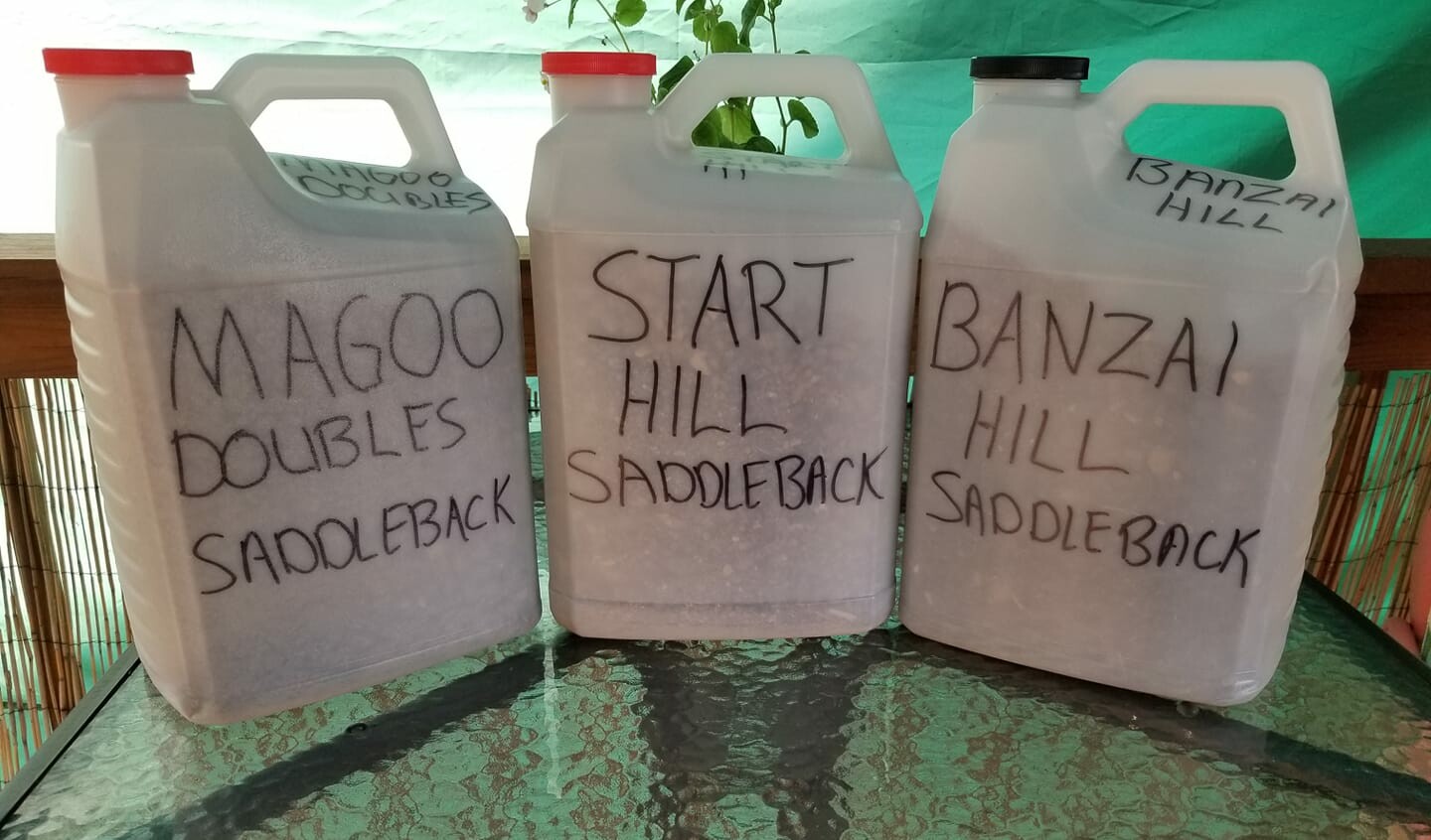 Dirt from Saddleback Park in Southern California.