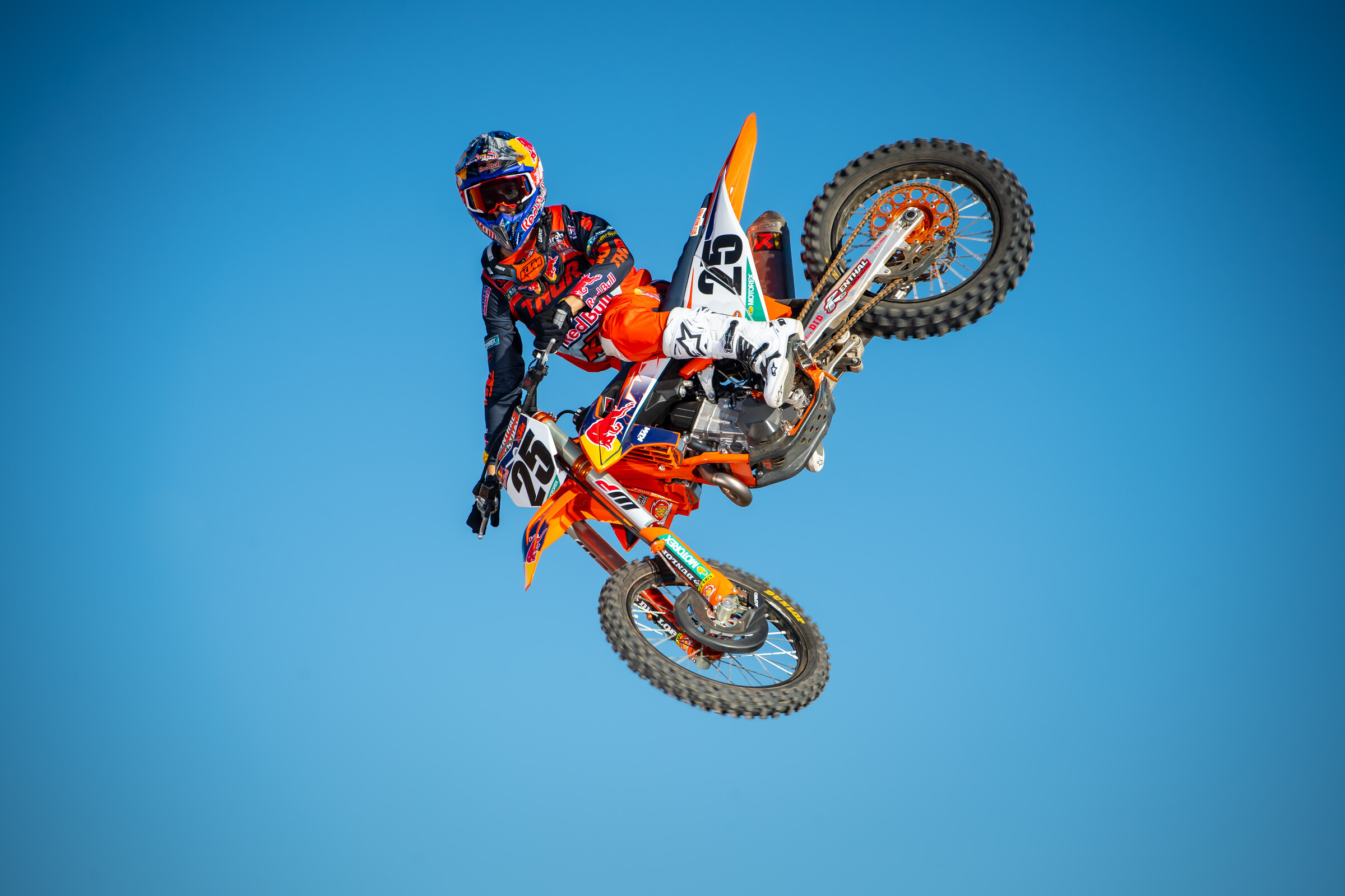 368952_Musquin-Nov_2020-Cudby-022