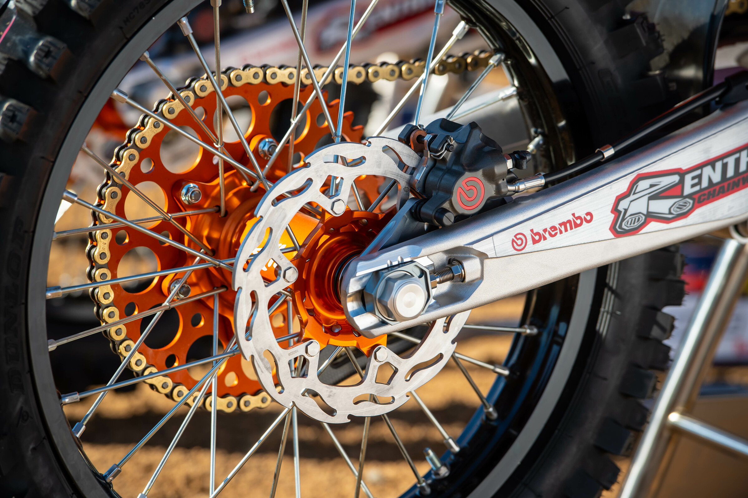 368903_Misc_Team-Nov_2020-Cudby-012