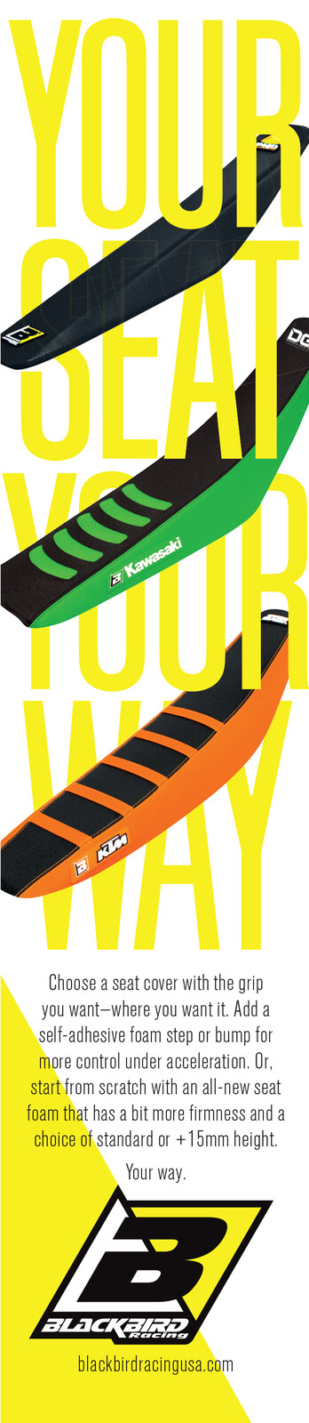 Advertisement: Blackbird