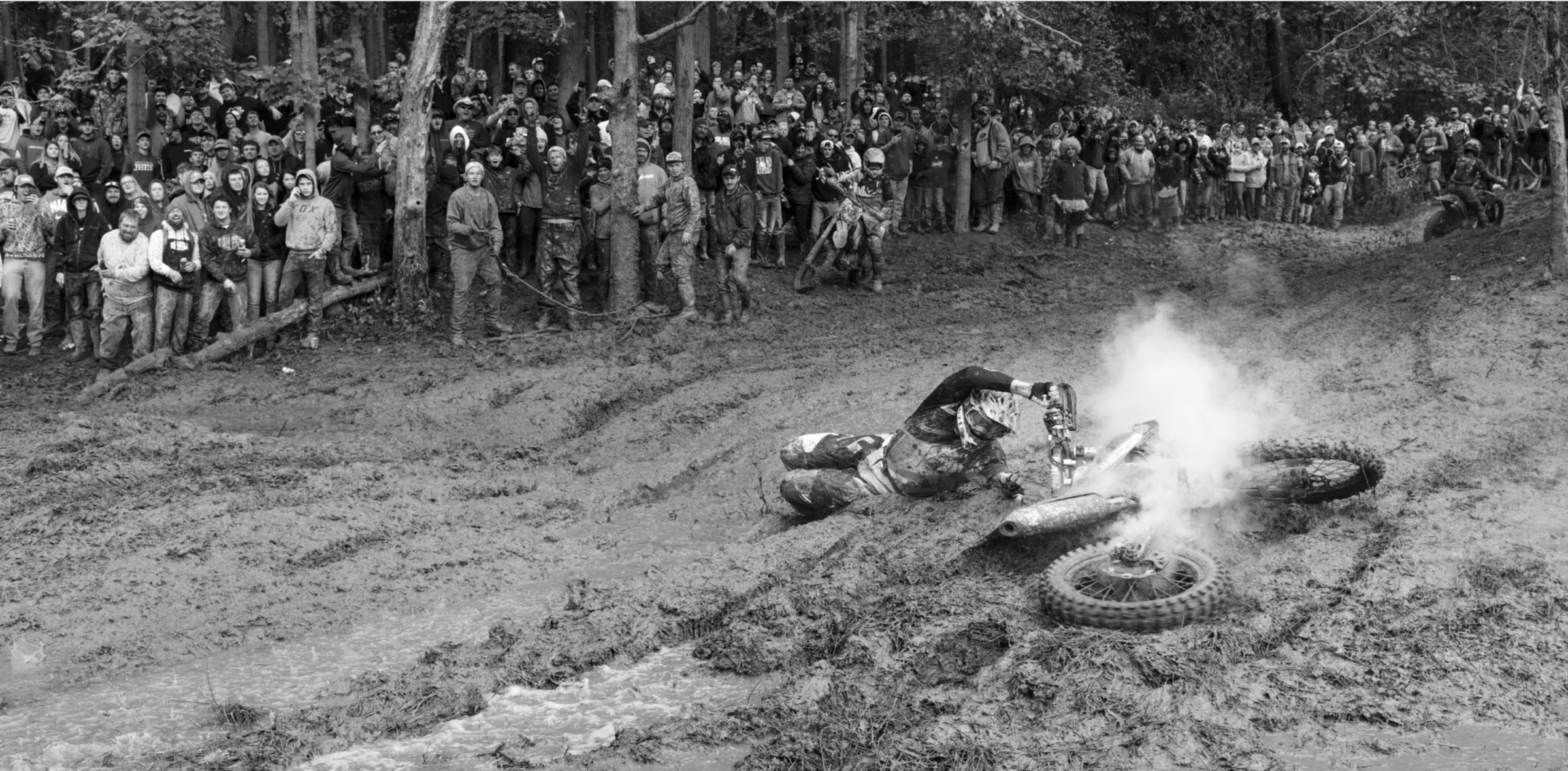 Screenshot of the New York Times.