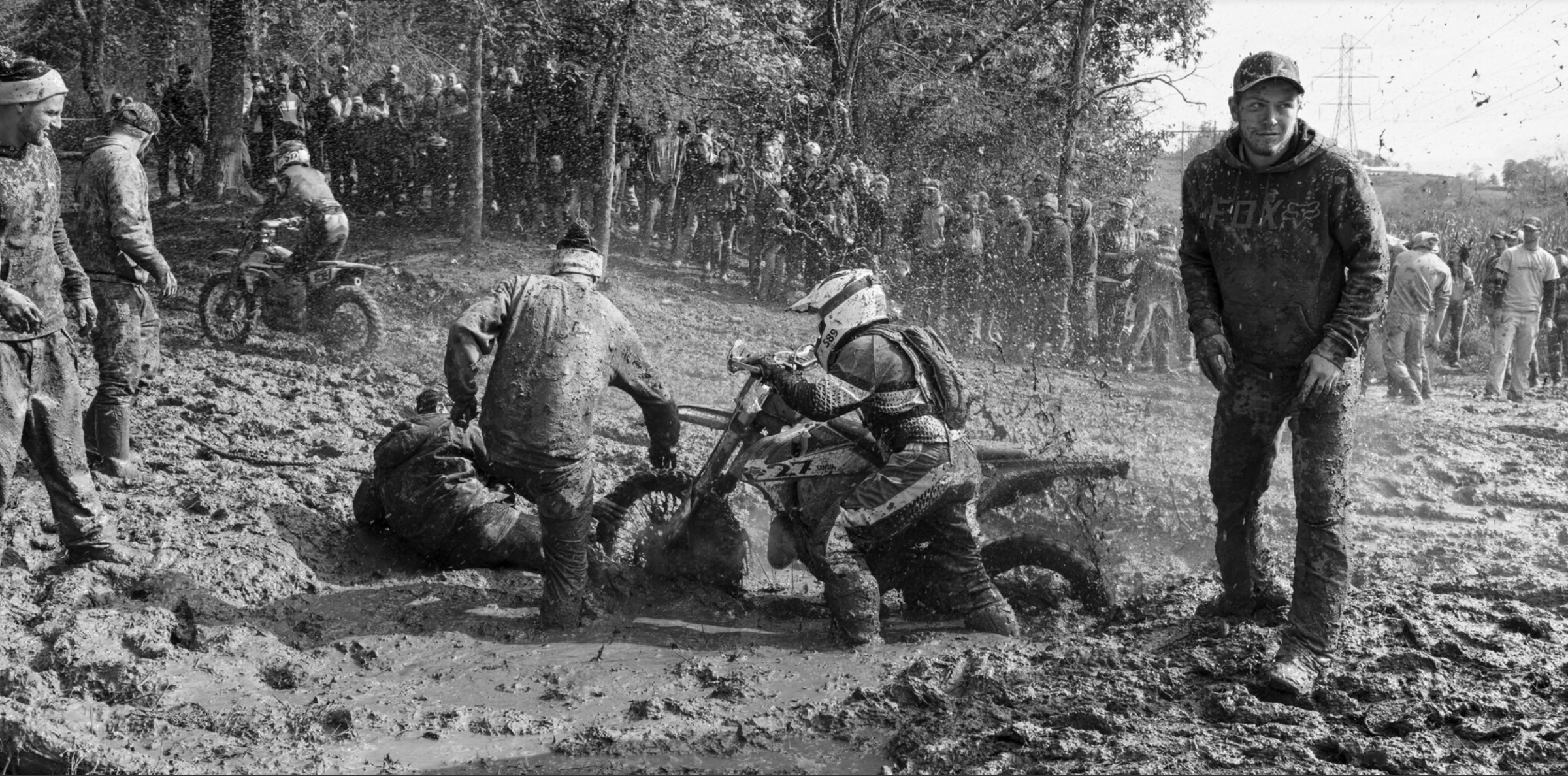 Screenshot of the New York Times.