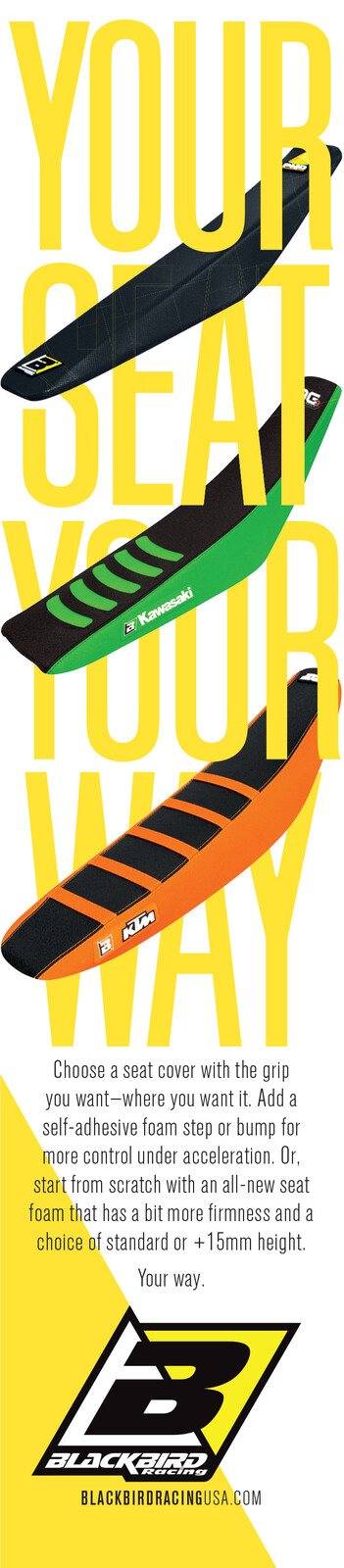 Advertisement: 127-Blackbird