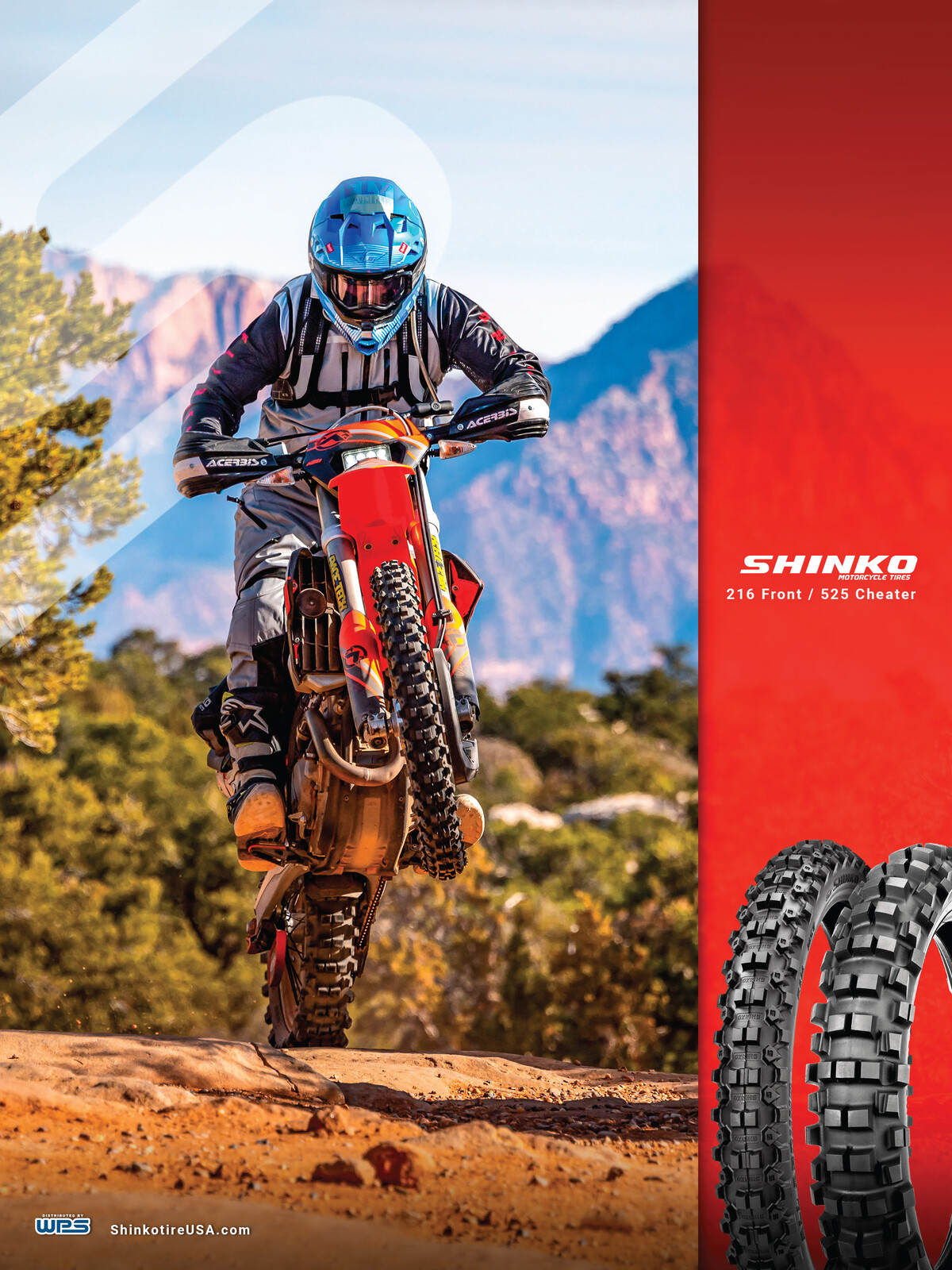 Advertisement: 067-Shinko