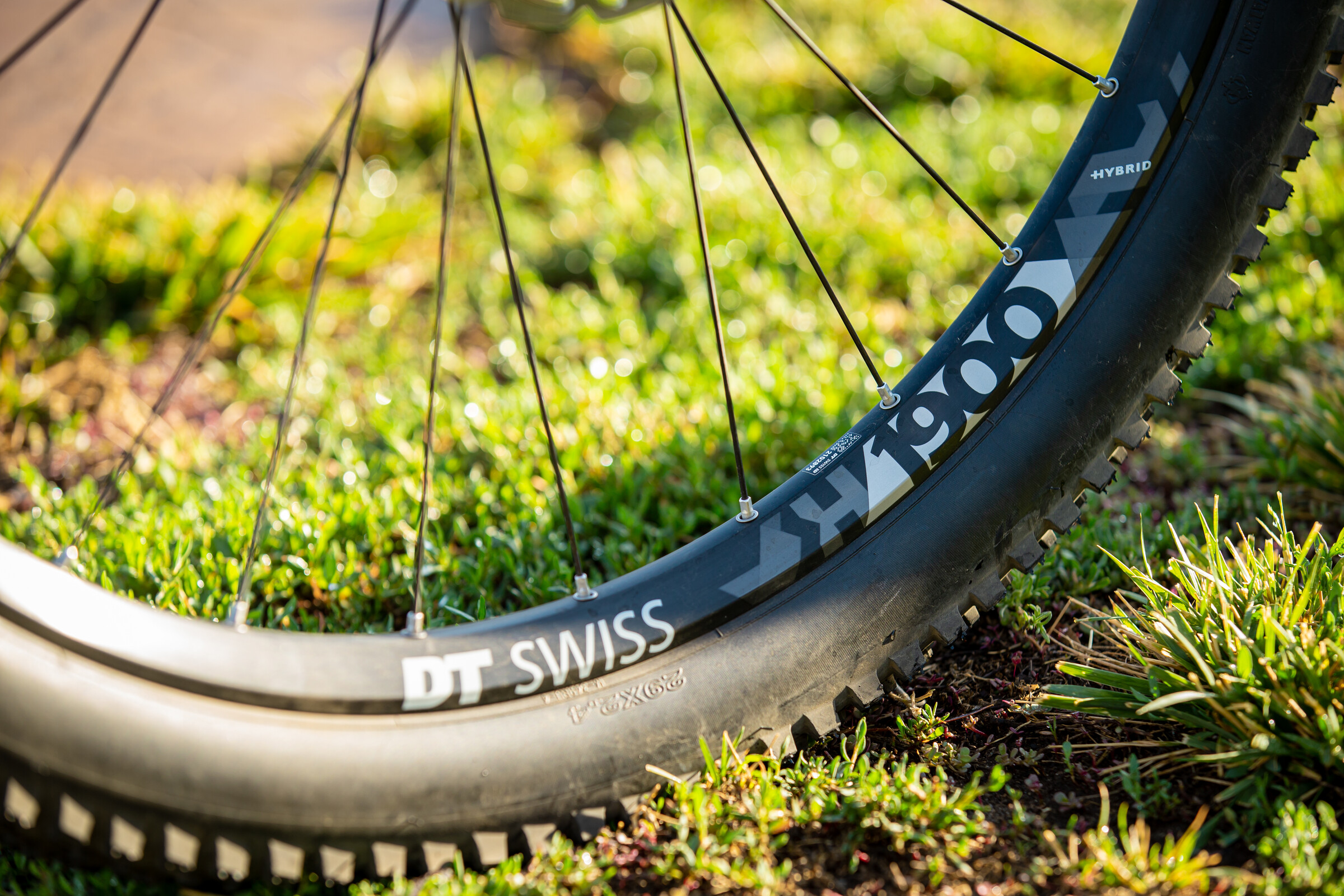 HUSKY_EBIKE_CE8U4501