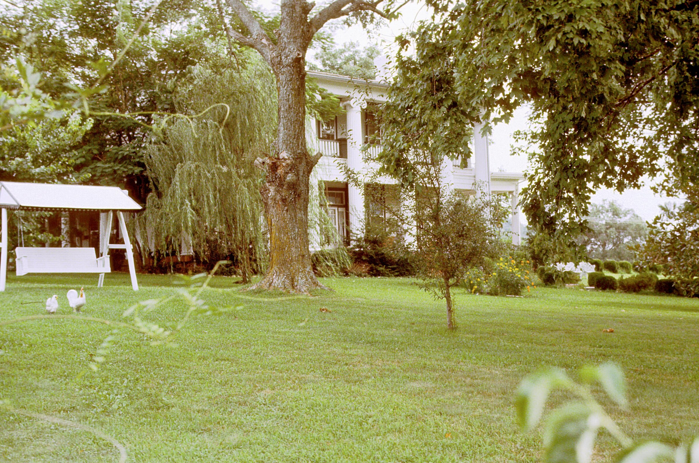 Loretta_Lynns_1982_Sheet_2_Scans_Untitled_10