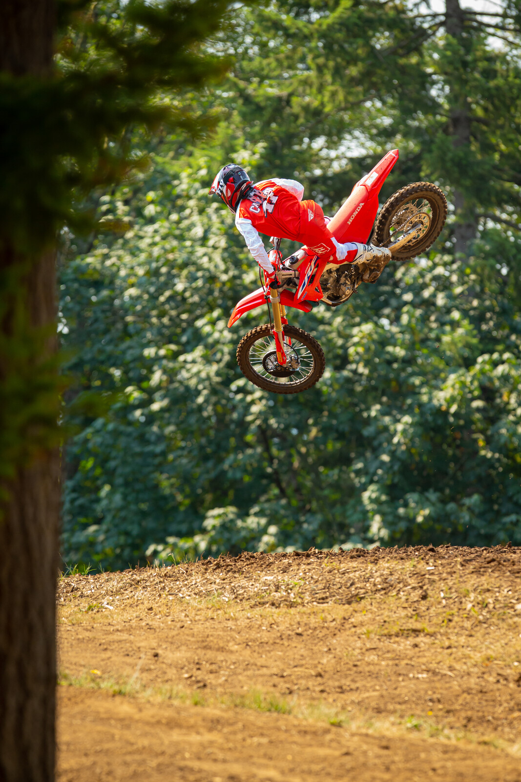 Trey Canard