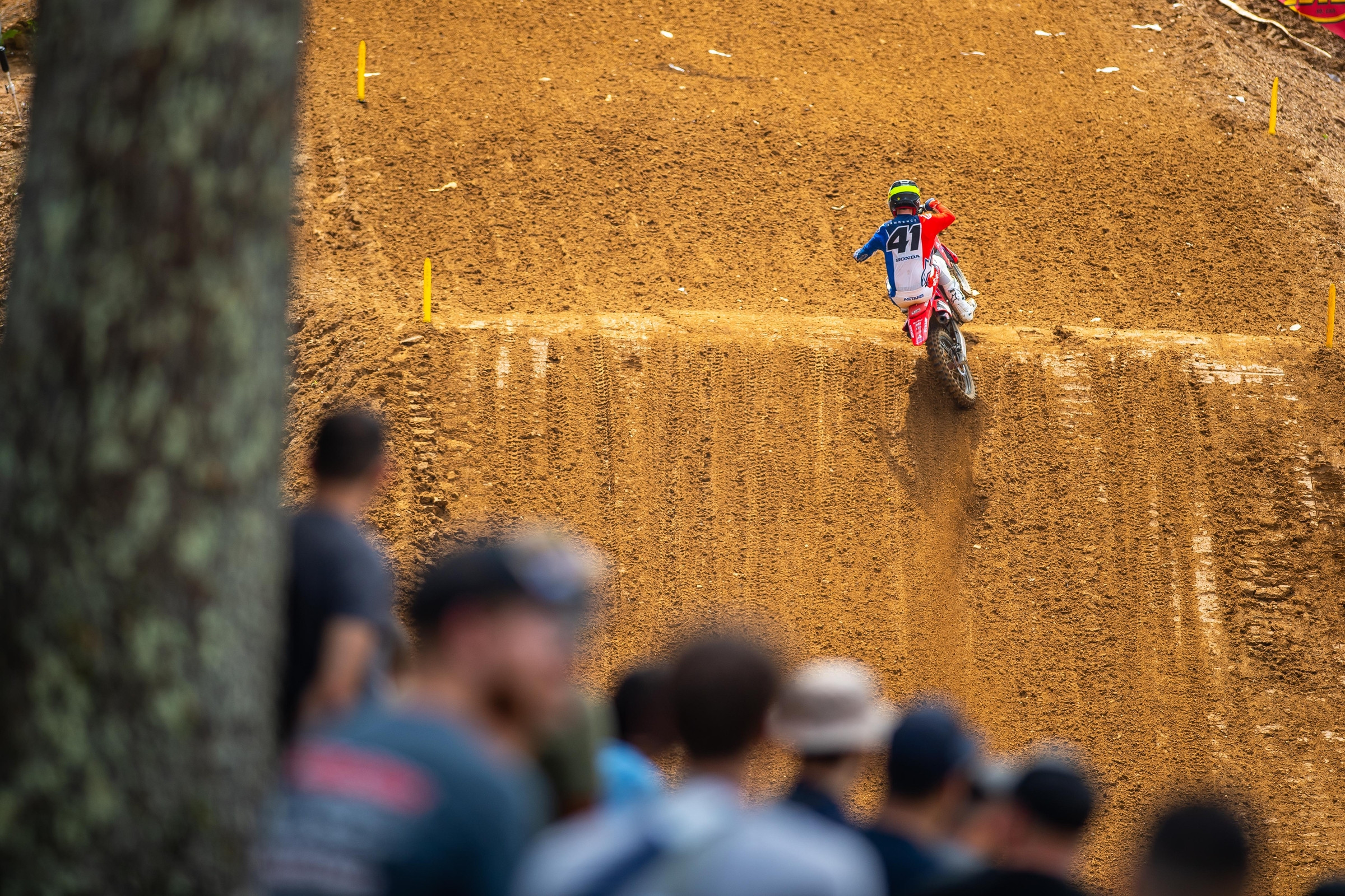 250 Words: Hunting the Hunted