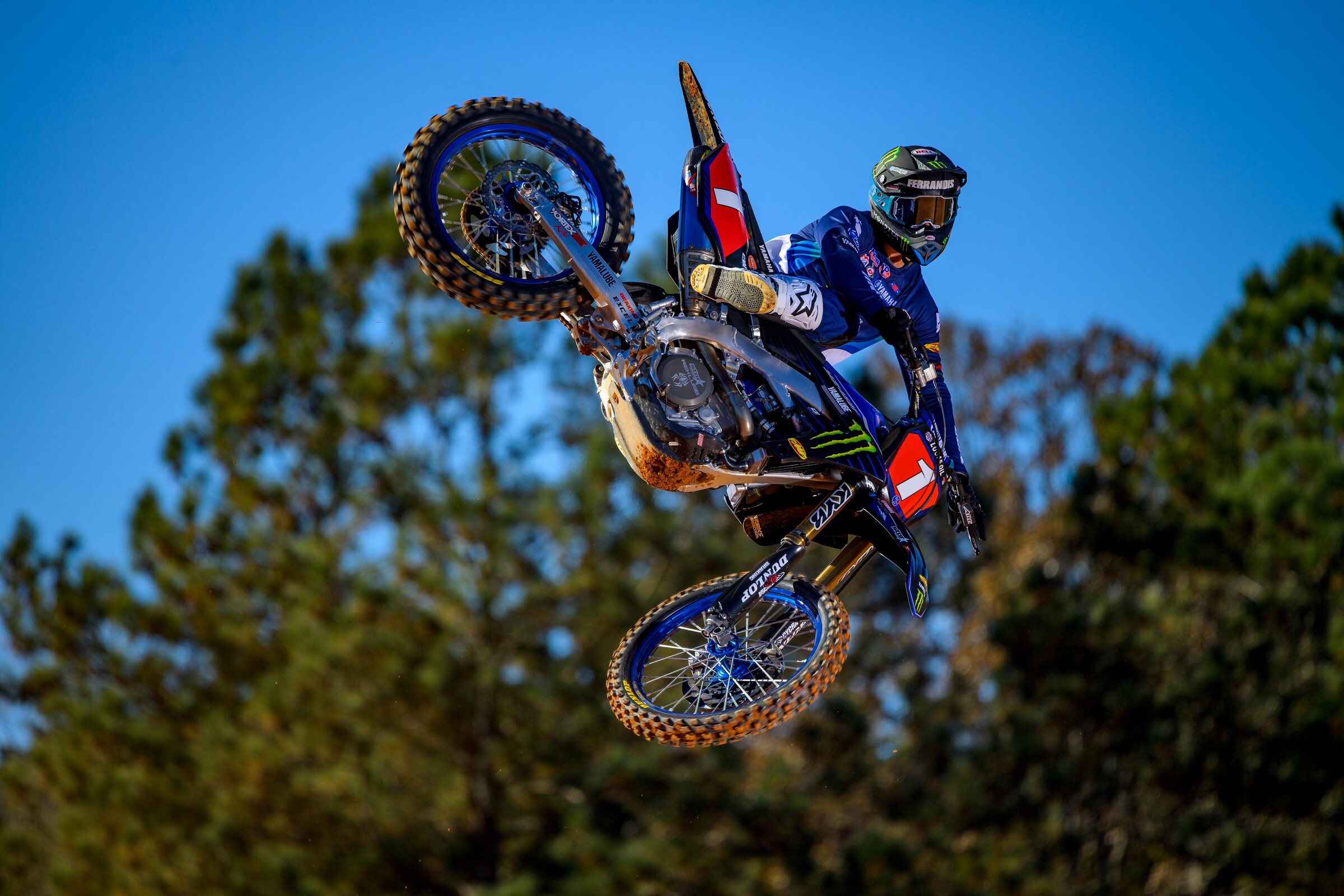 #14  Ferrandis (#1 for Pro Motocross)