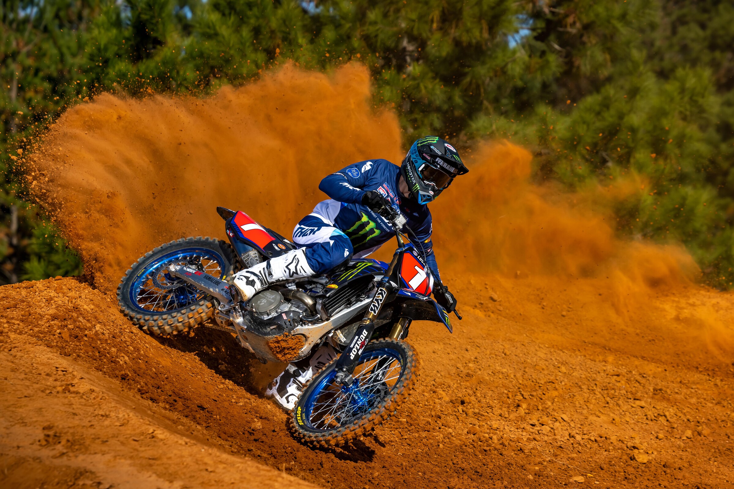 #14  Ferrandis (#1 for Pro Motocross)