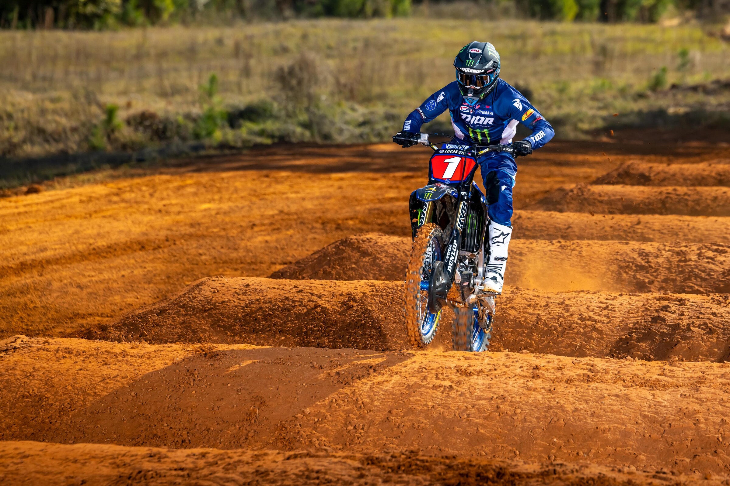 #14  Ferrandis (#1 for Pro Motocross)