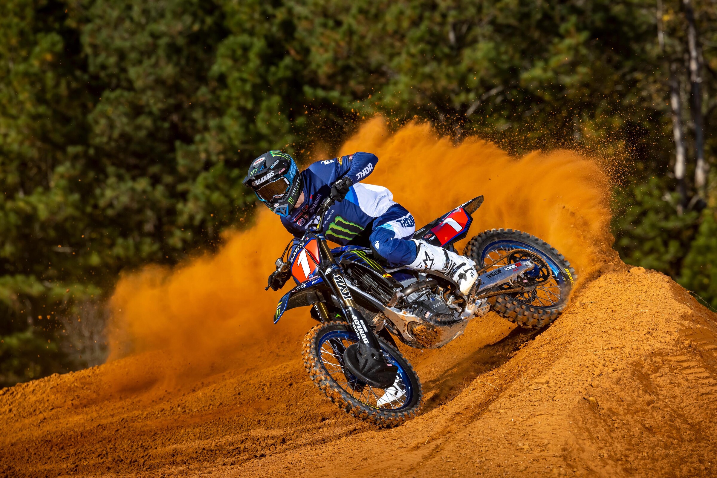 #14  Ferrandis (#1 for Pro Motocross)