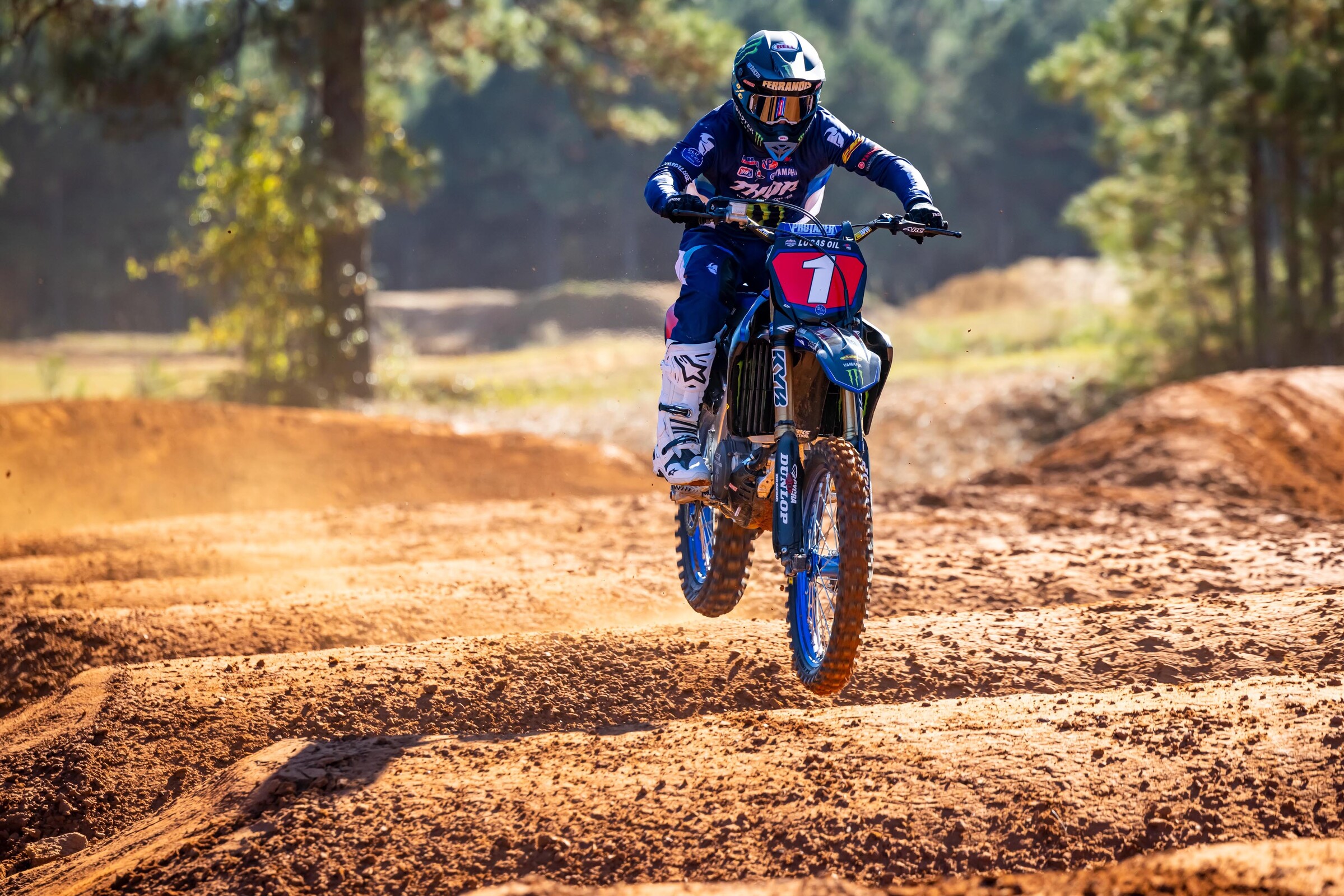 #14  Ferrandis (#1 for Pro Motocross)