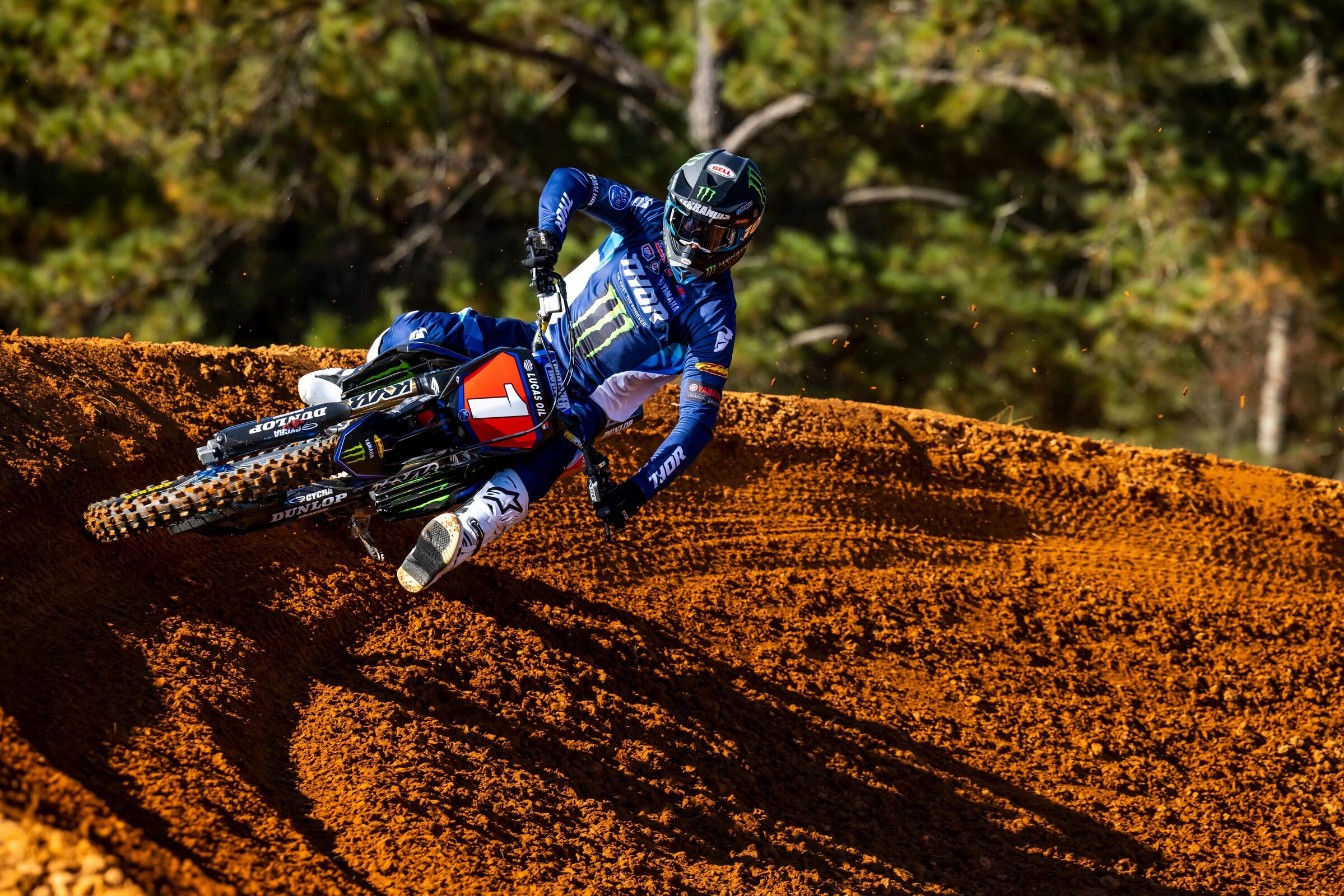 #14  Ferrandis (#1 for Pro Motocross)