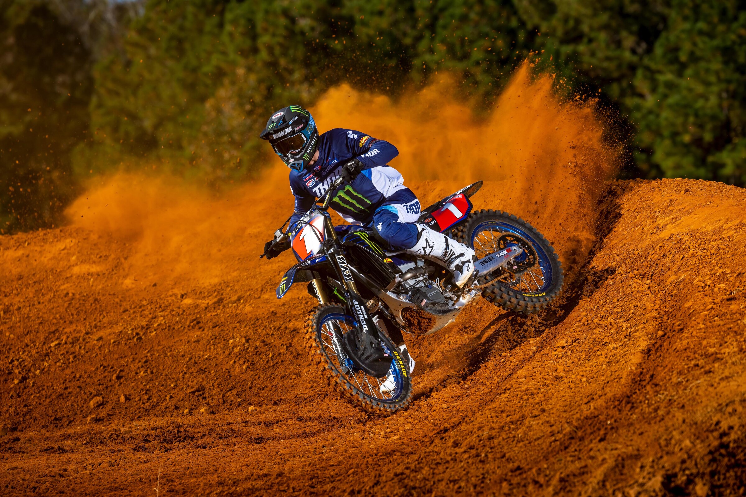 #14  Ferrandis (#1 for Pro Motocross)