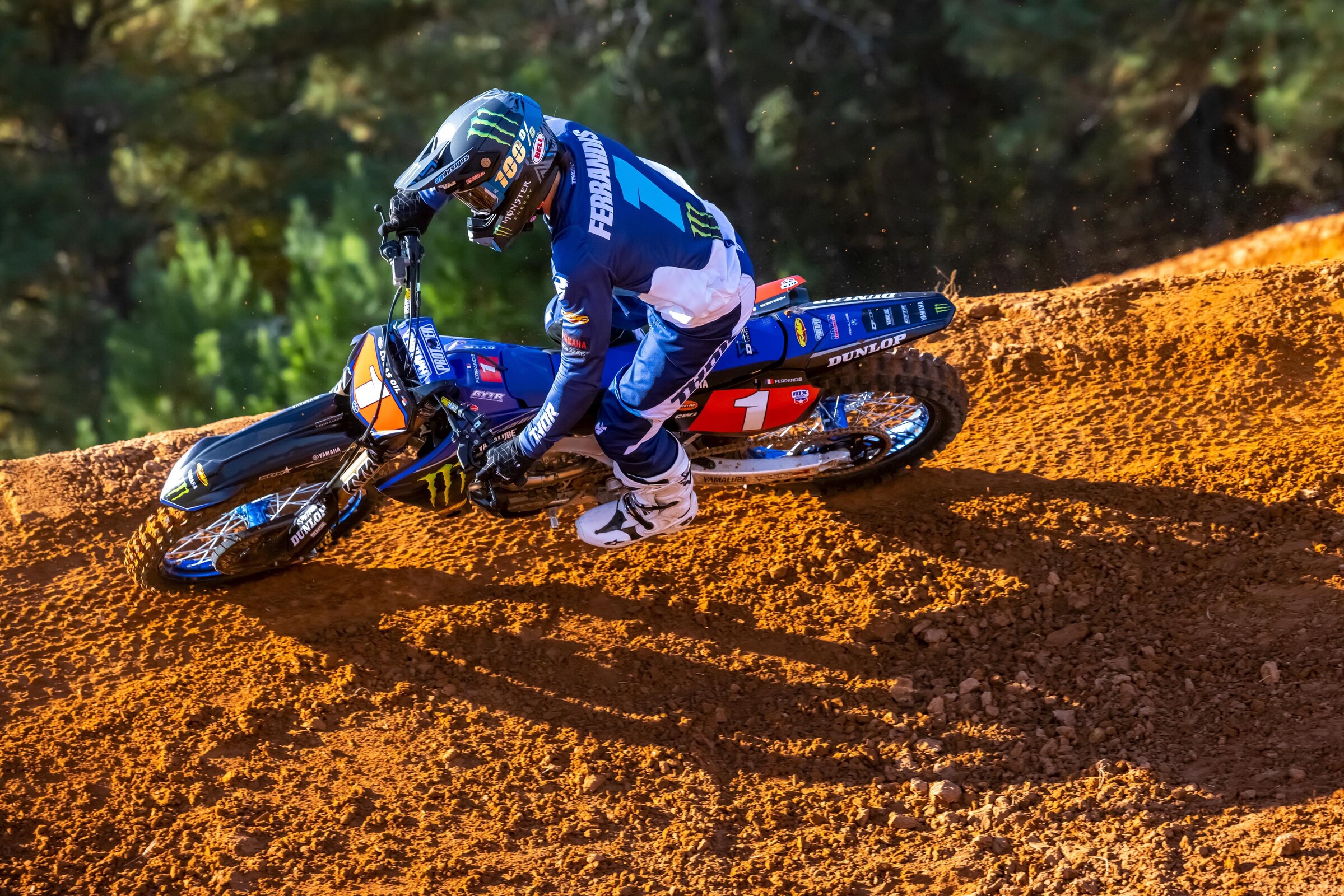 #14  Ferrandis (#1 for Pro Motocross)