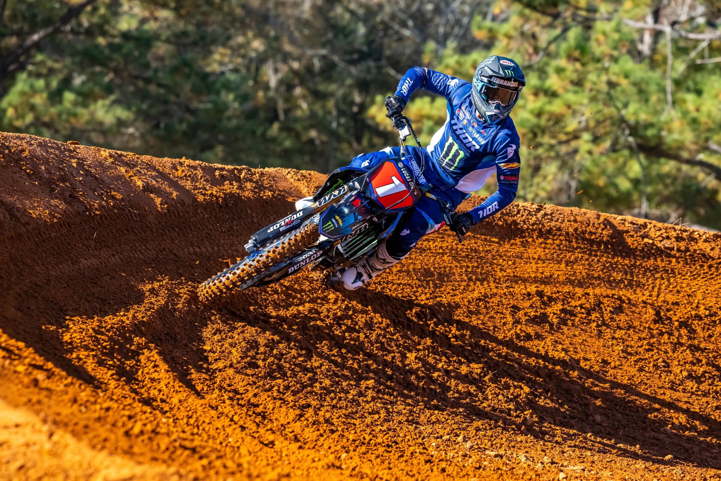 #14  Ferrandis (#1 for Pro Motocross)