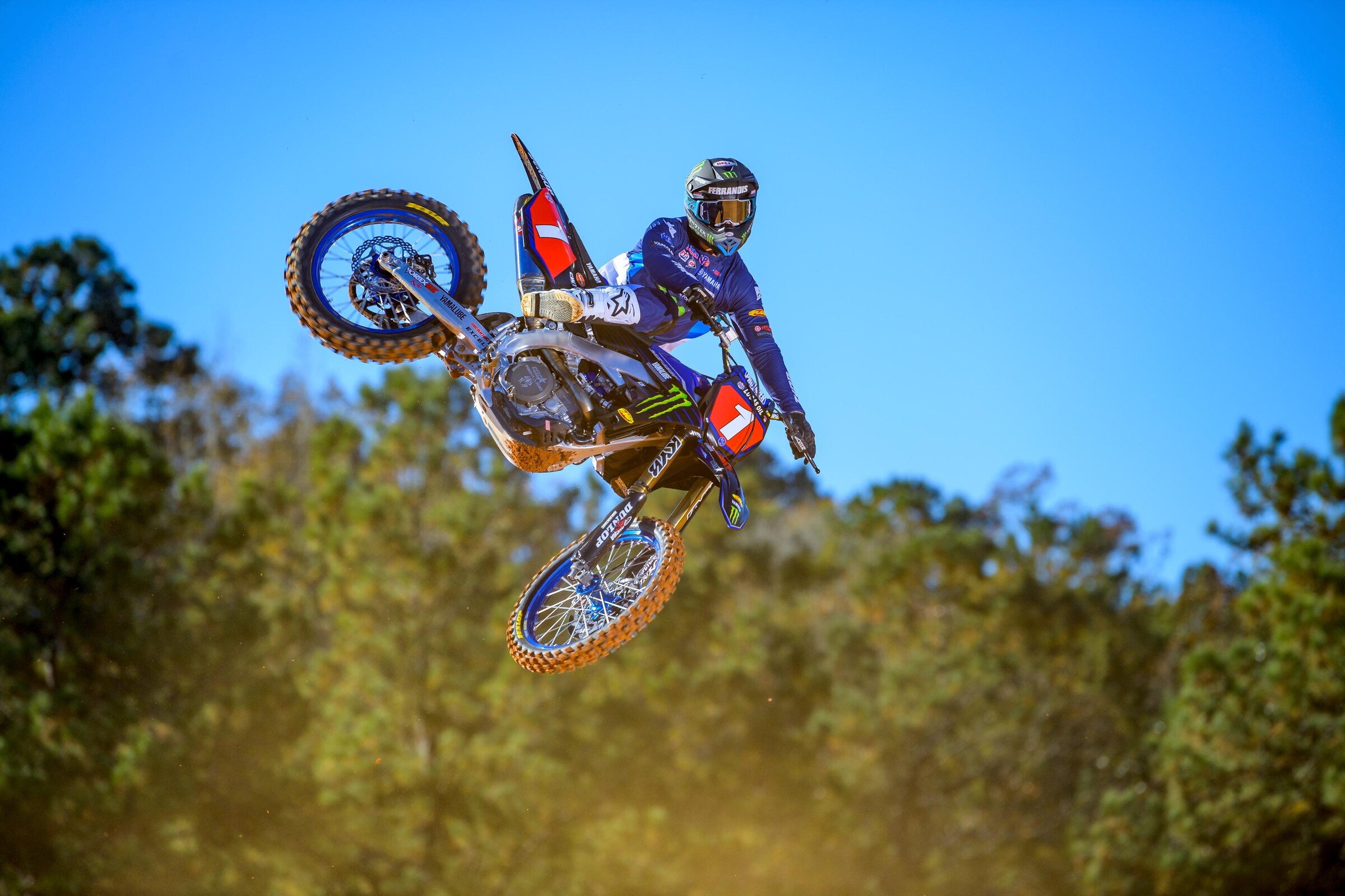 #14  Ferrandis (#1 for Pro Motocross)