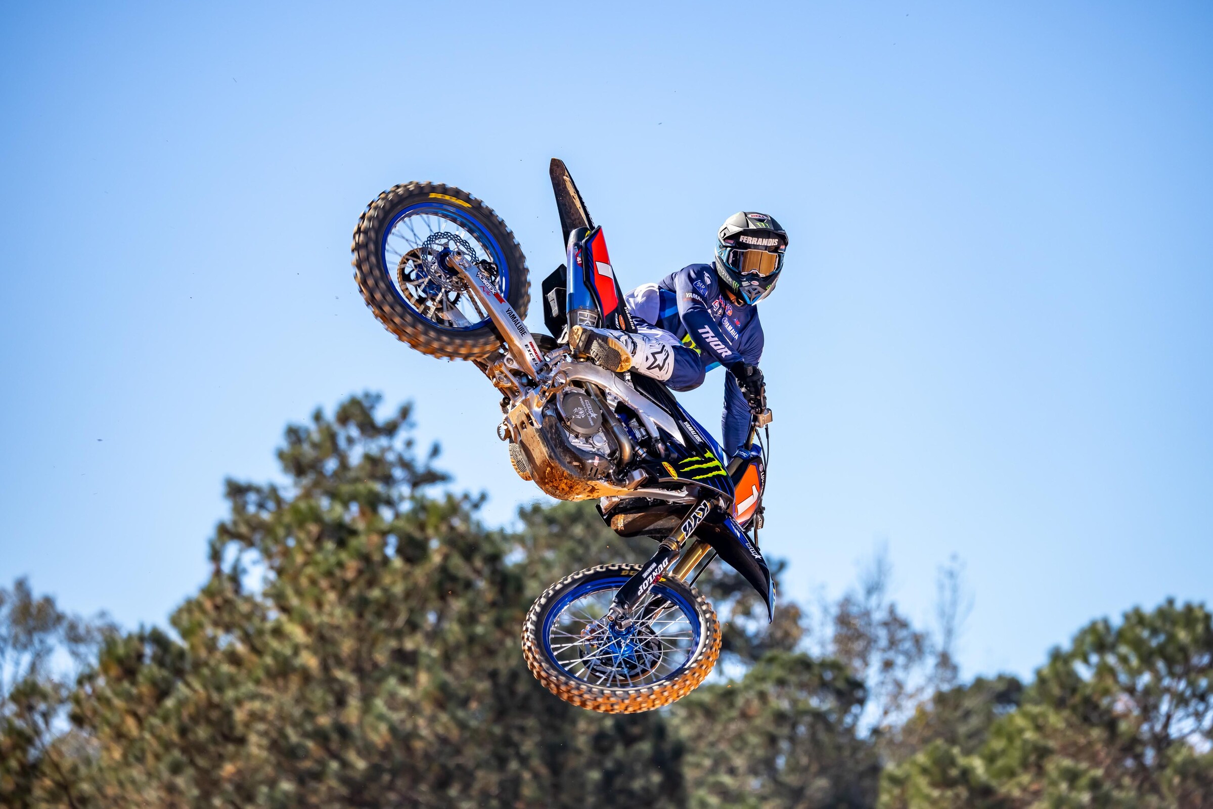 #14  Ferrandis (#1 for Pro Motocross)
