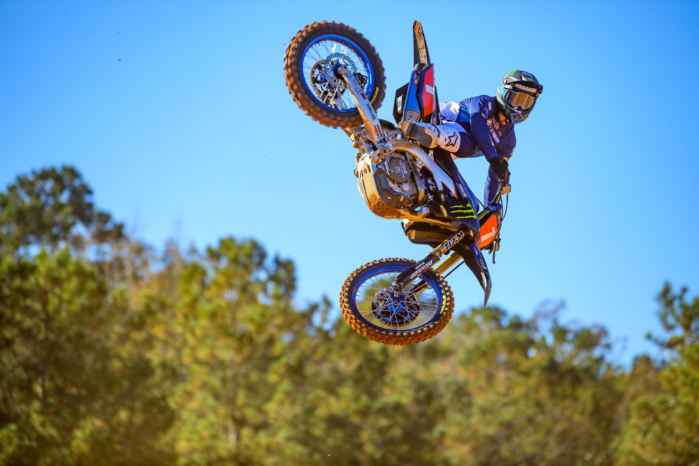 #14  Ferrandis (#1 for Pro Motocross)