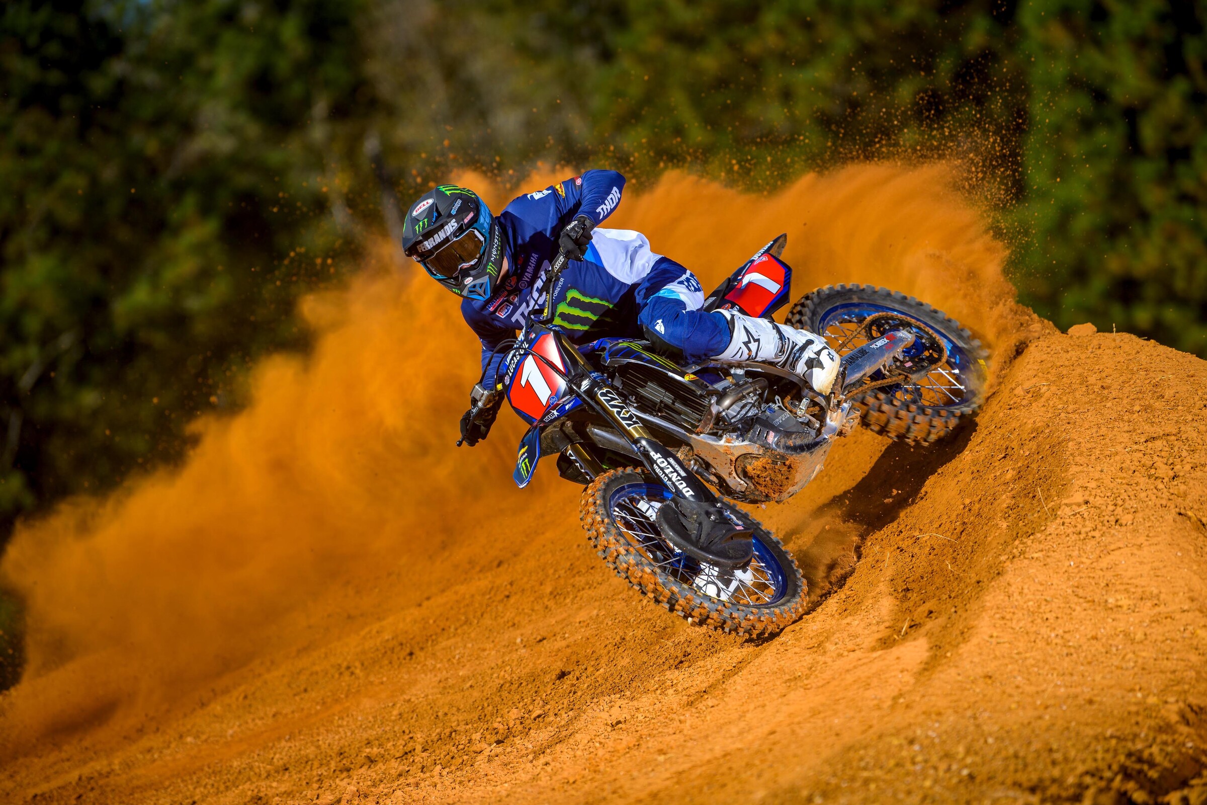 #14  Ferrandis (#1 for Pro Motocross)