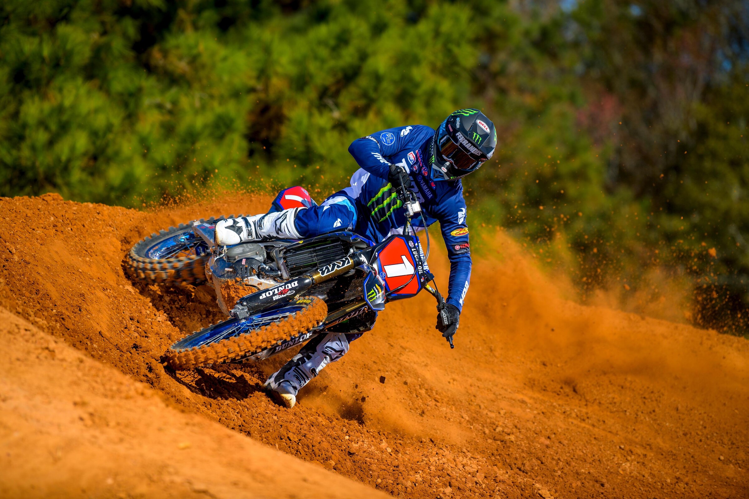 #14  Ferrandis (#1 for Pro Motocross)