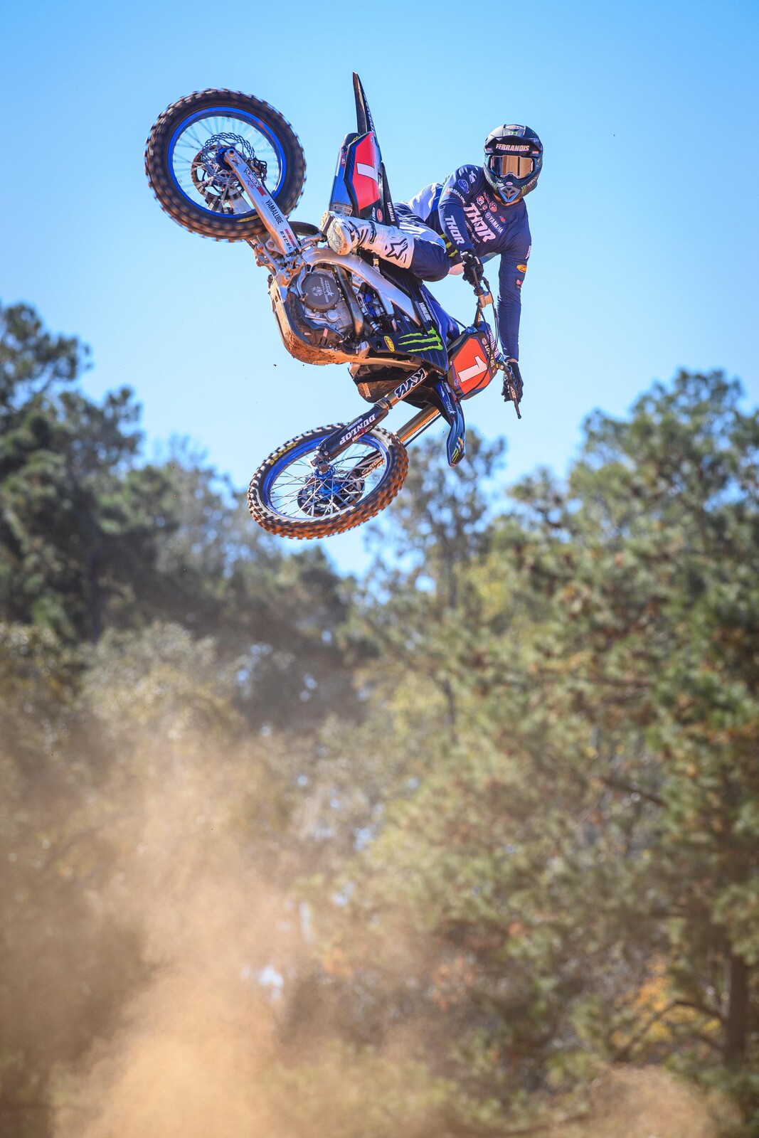 #14  Ferrandis (#1 for Pro Motocross)