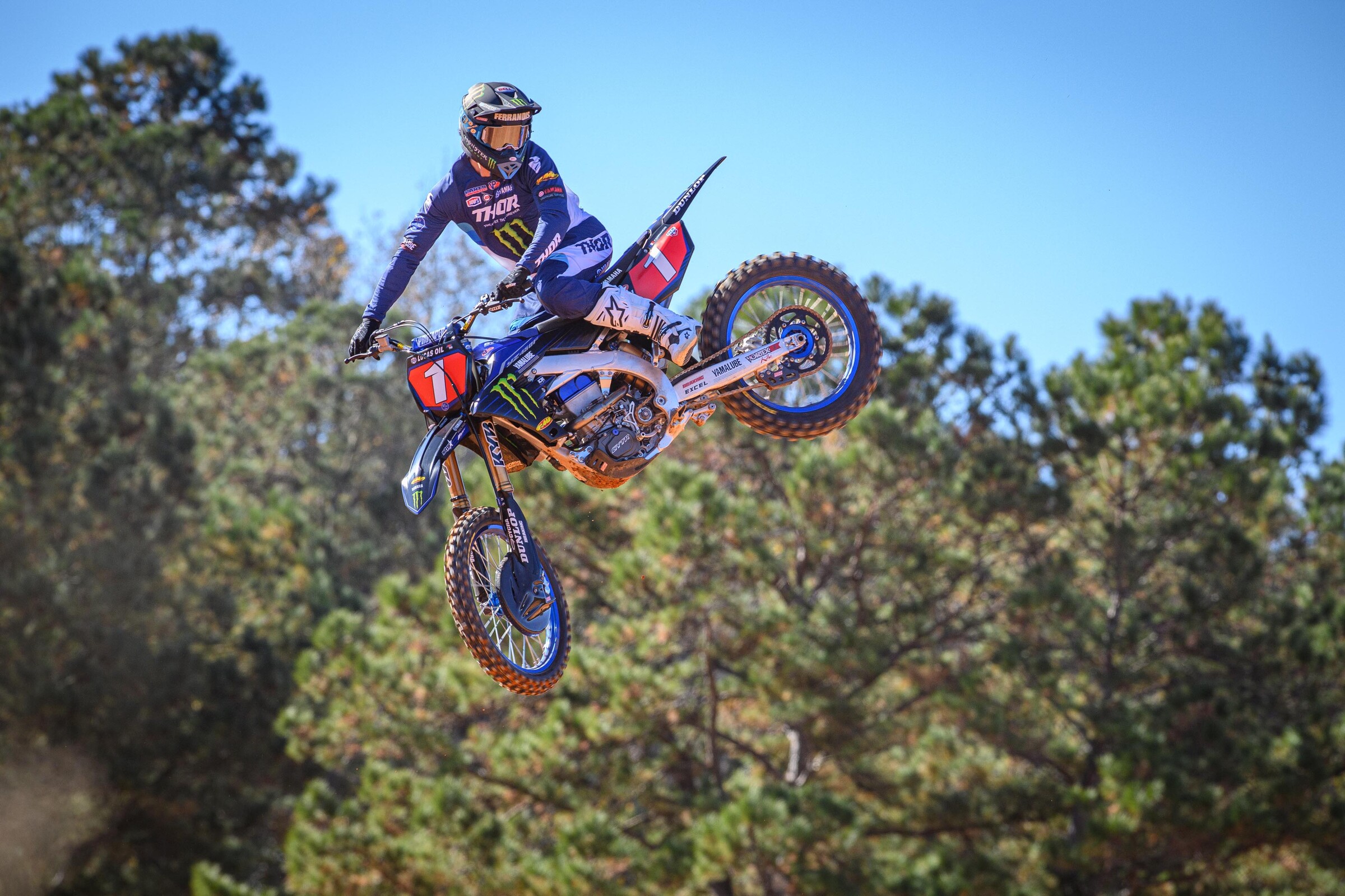 #14  Ferrandis (#1 for Pro Motocross)