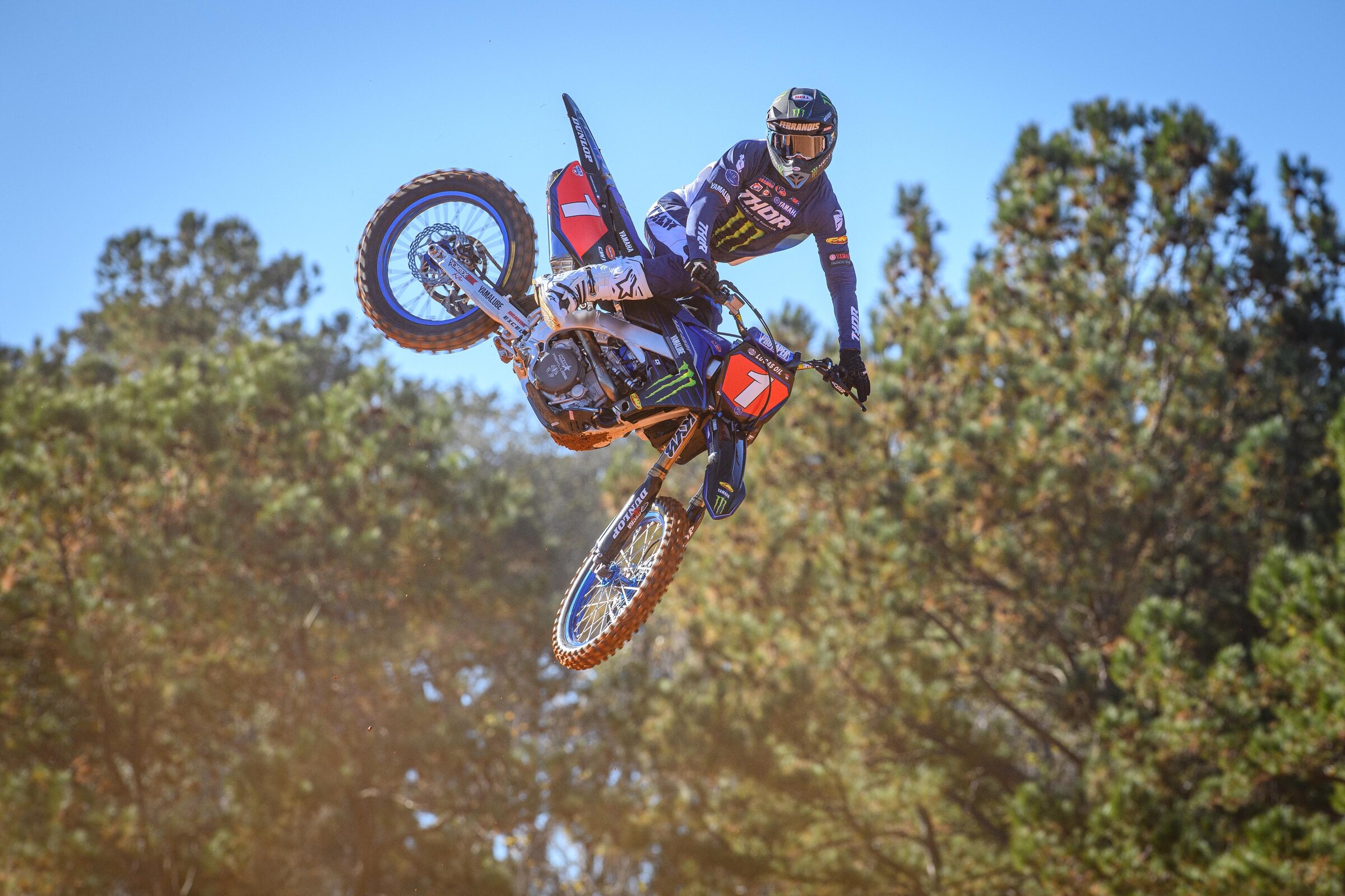 #14  Ferrandis (#1 for Pro Motocross)