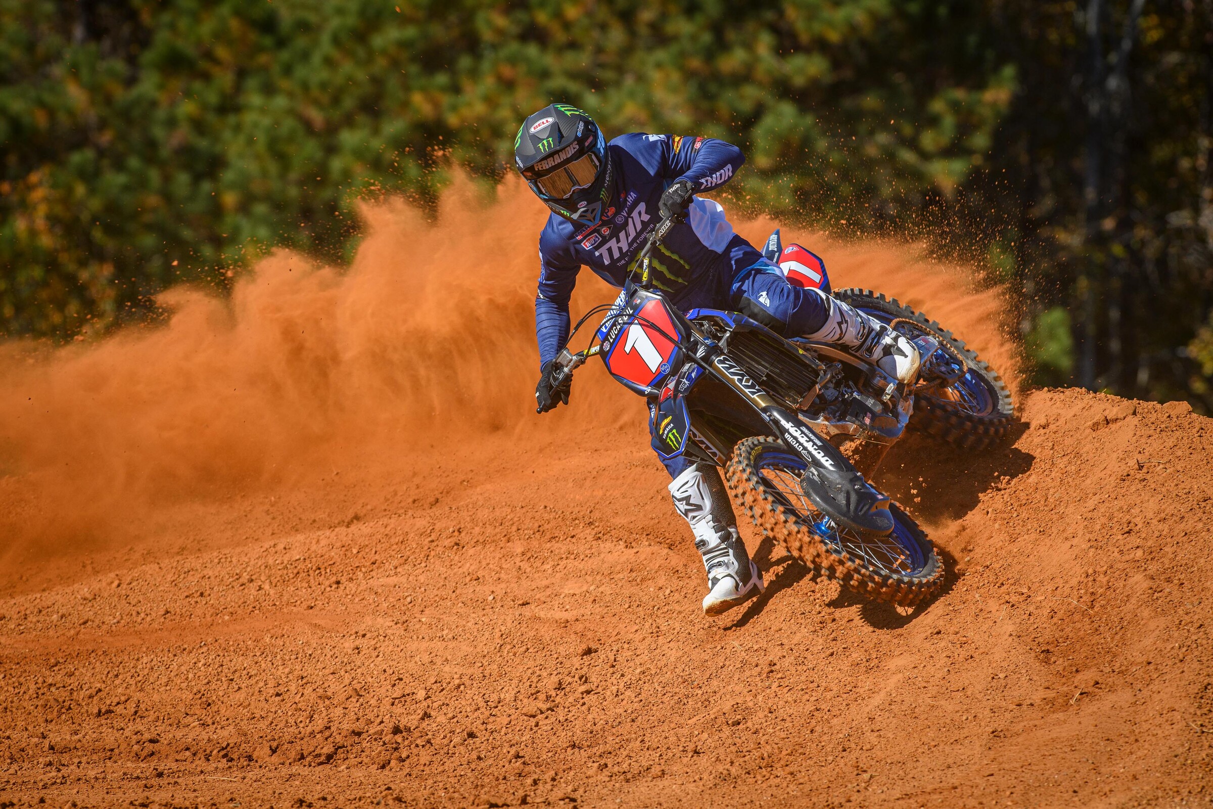 #14  Ferrandis (#1 for Pro Motocross)