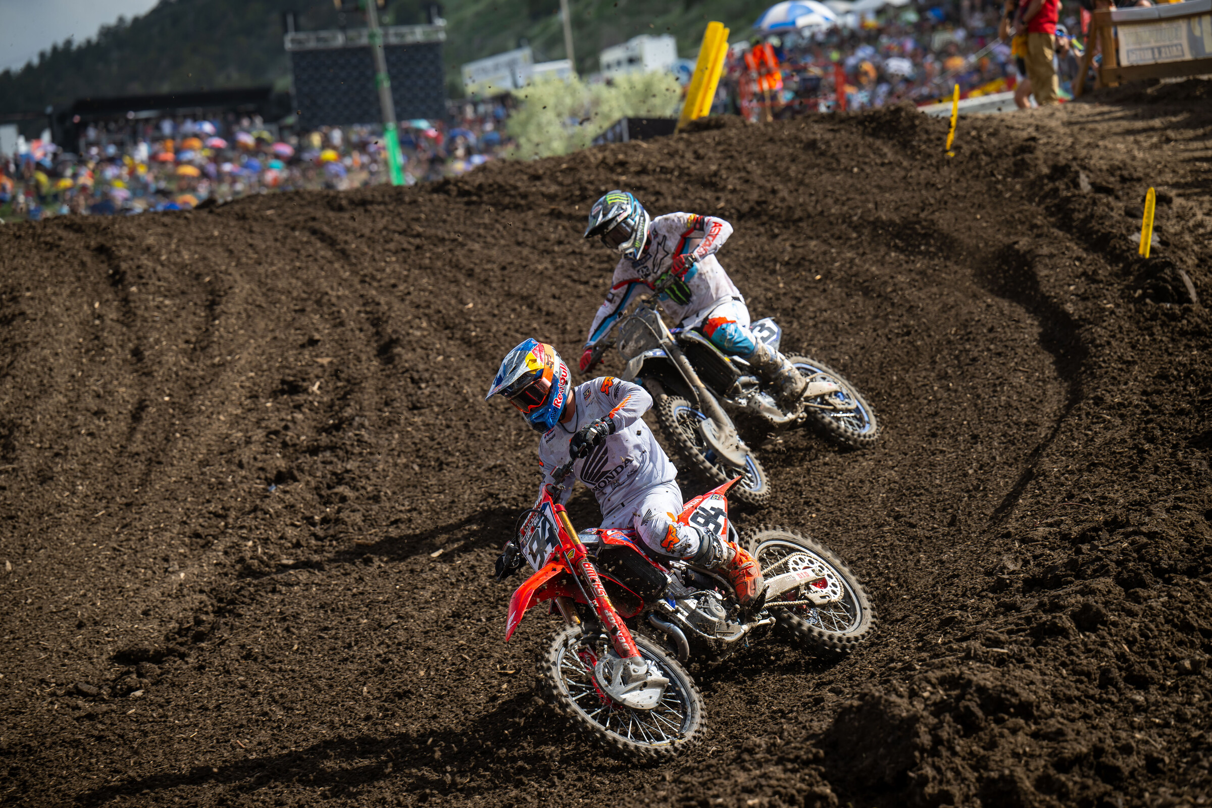 Roczen and Eli Tomac